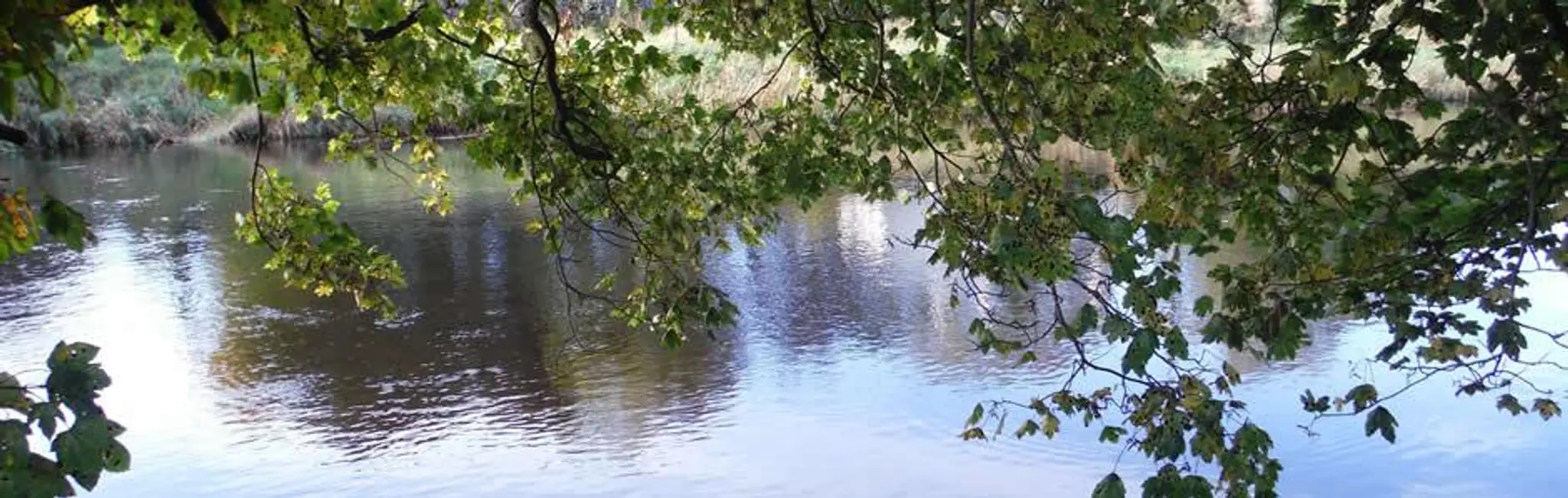 Ballisodare Fishing Club