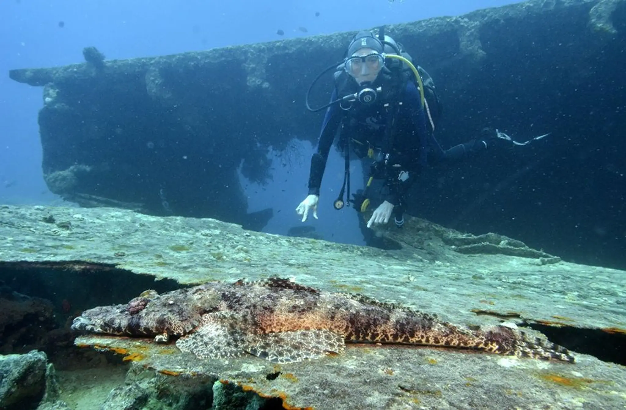 Bath Divers - The Bath SAC - BSAC 0033