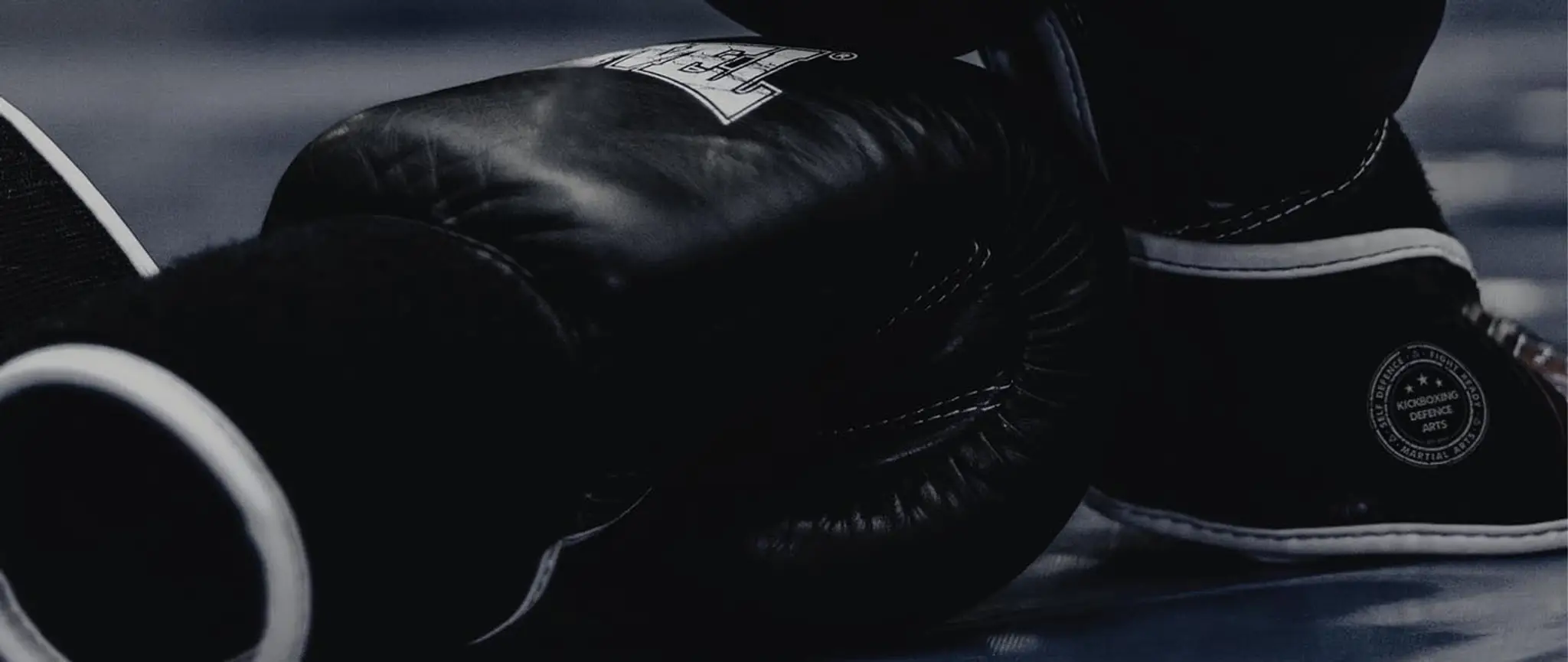 Kickboxing Defence Arts