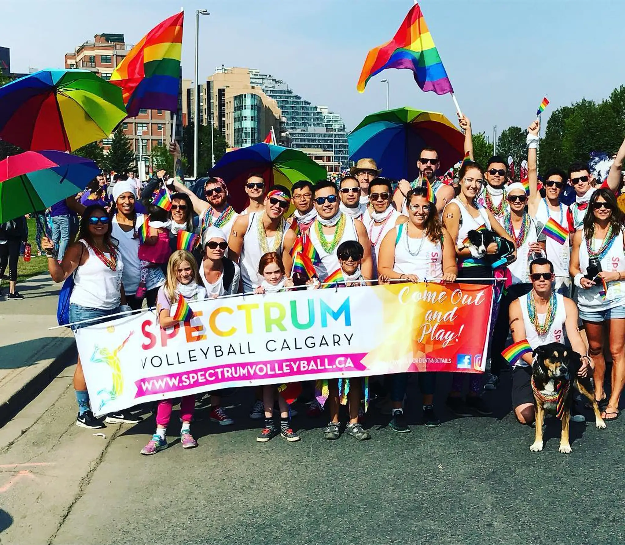 Beach Volleyball Courts Shaw Millennium Park