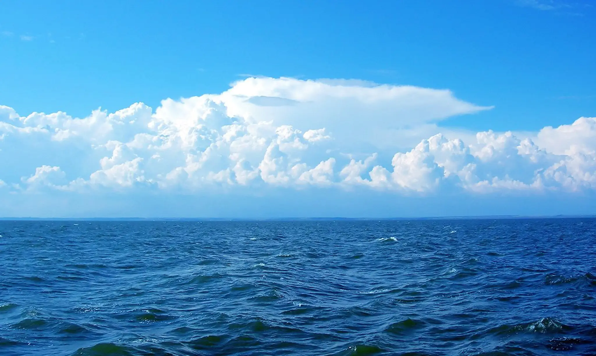 Pettifox Sea Charters