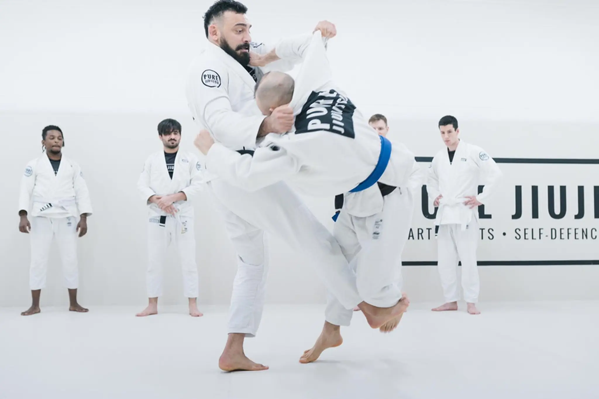 PURE JIUJITSU