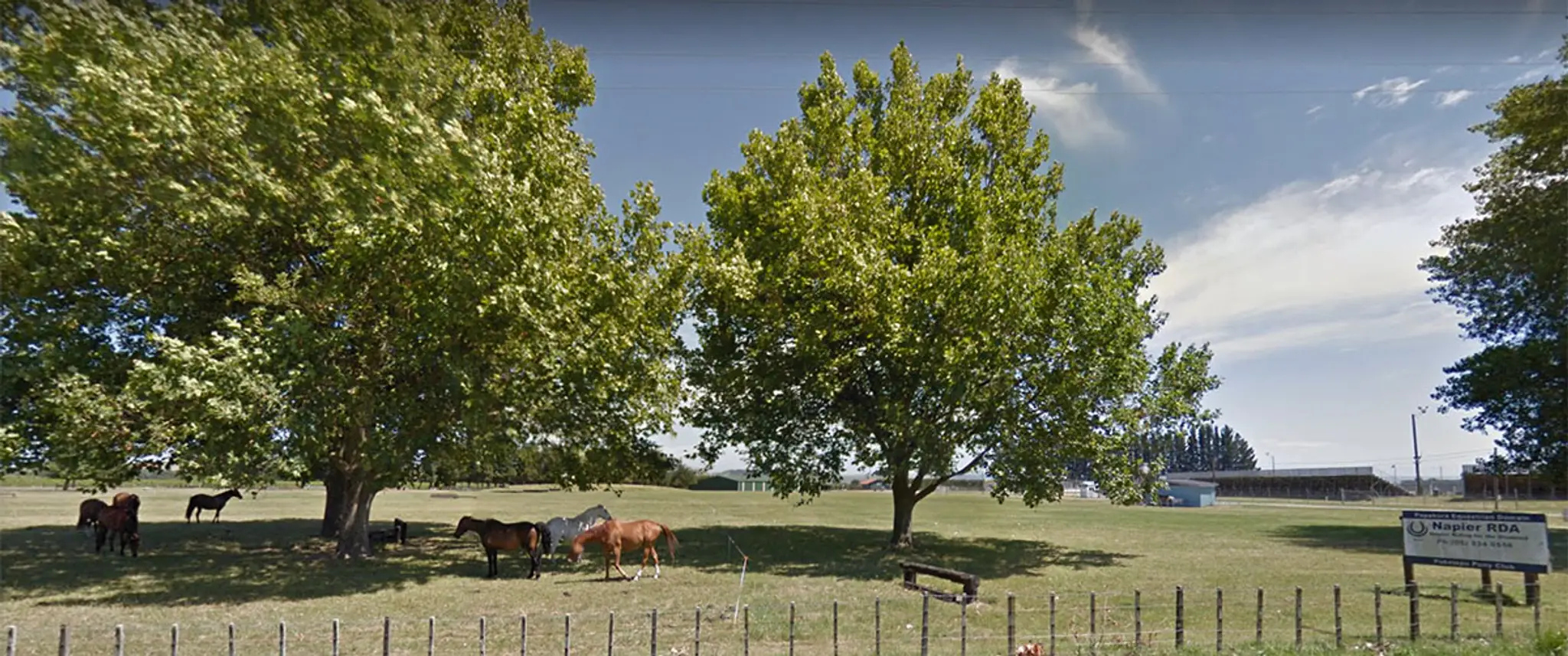 Napier Riding For Disabled (RDA)