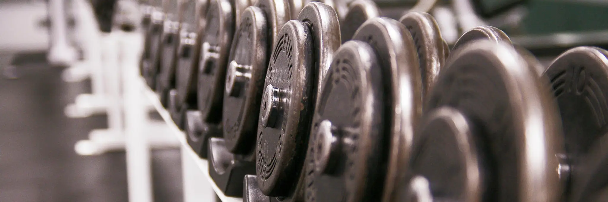 Fitness Focus Saskatoon