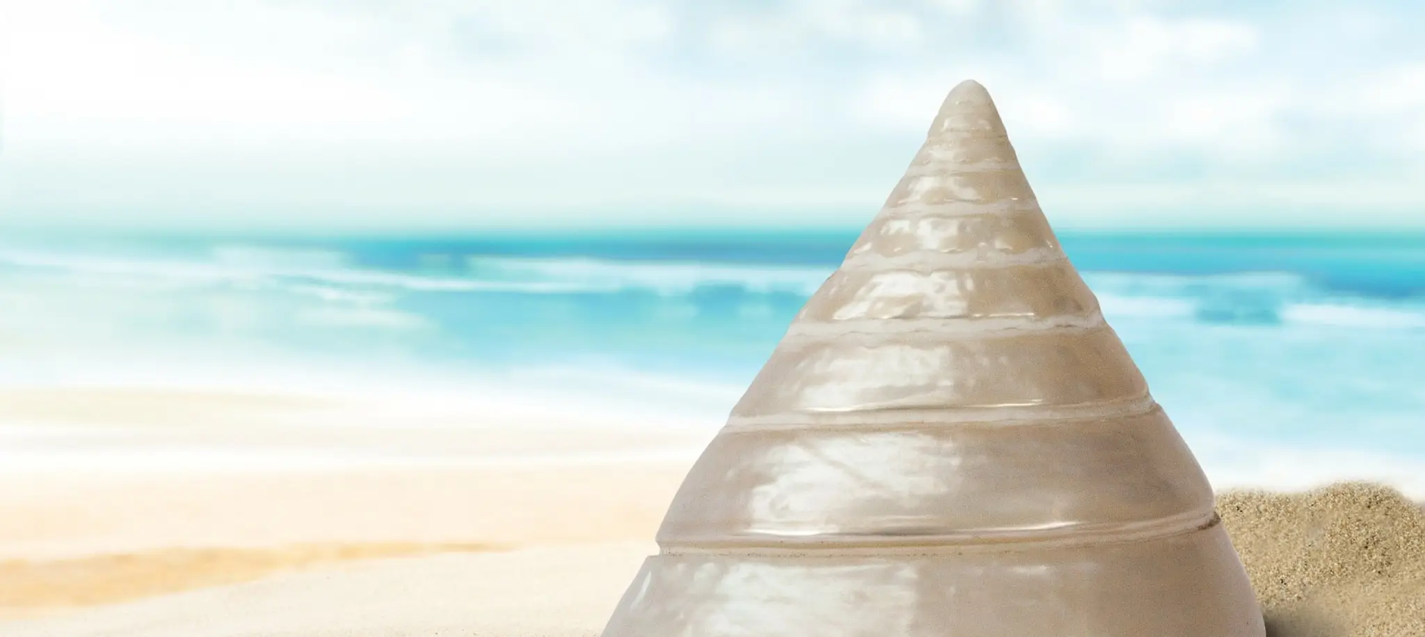 Crusoeden Body Wellness