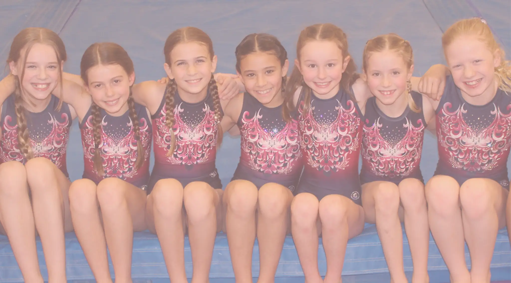 Synergy Gymnastics Centre
