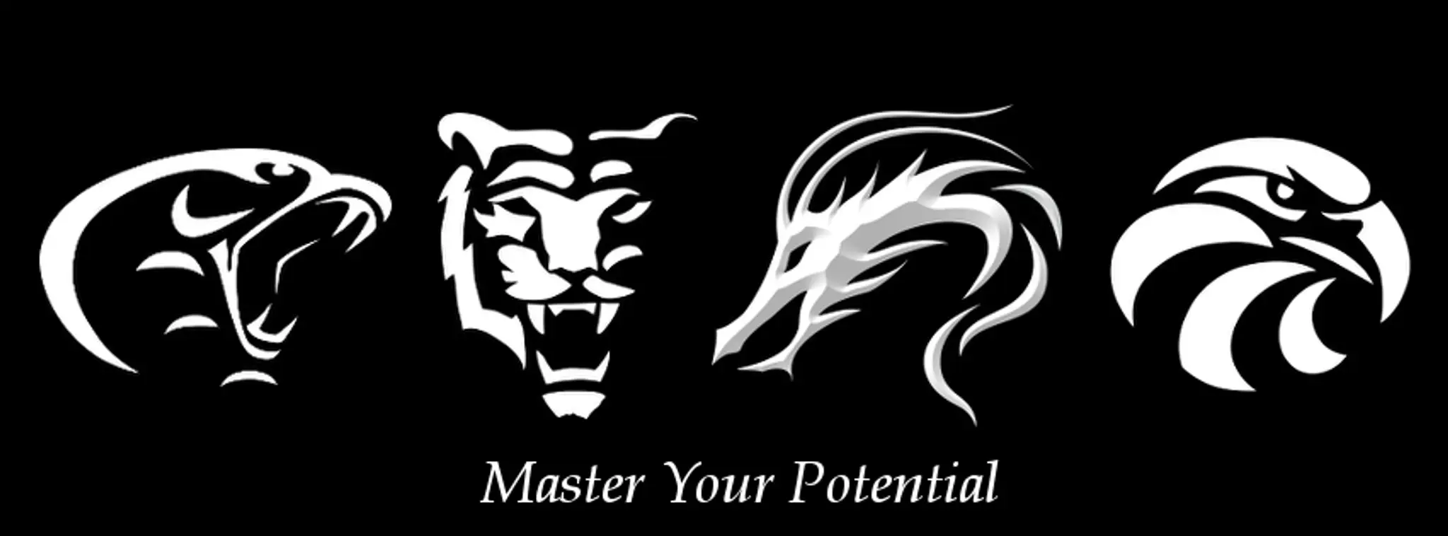 Norwich Kung Fu Academy - Clover Hill