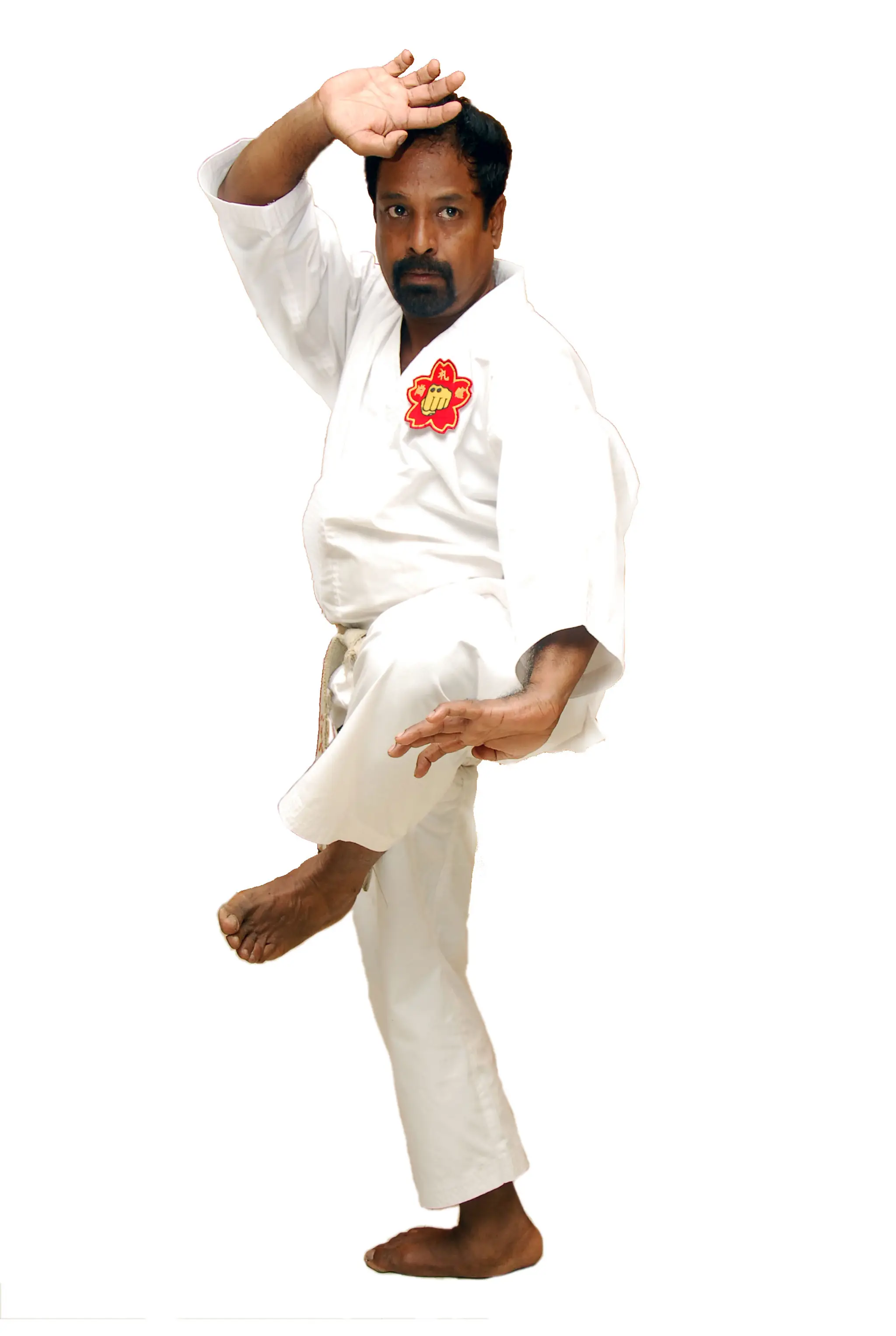 Shorei Kan Karate Do Ryu Kyu Kobudo Hozon kai