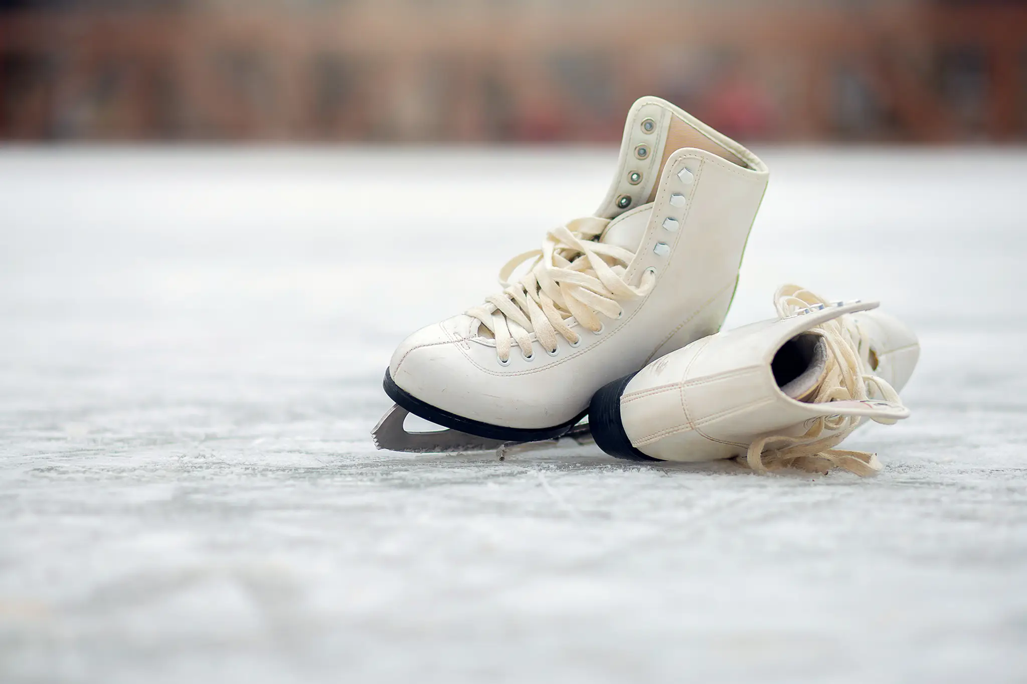 Elmvale Skating Club