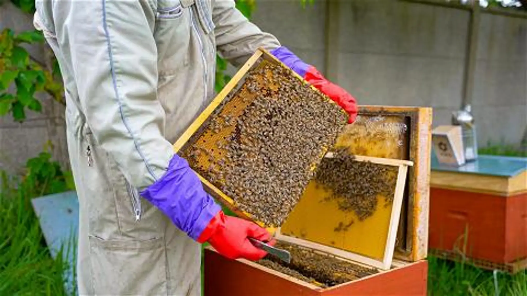 Robert Barran Stadium