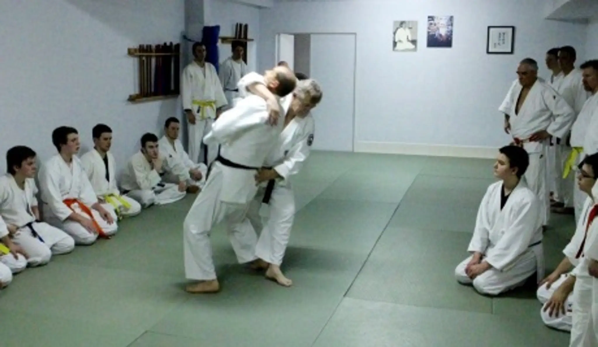 Aikido Yoseikan Budo