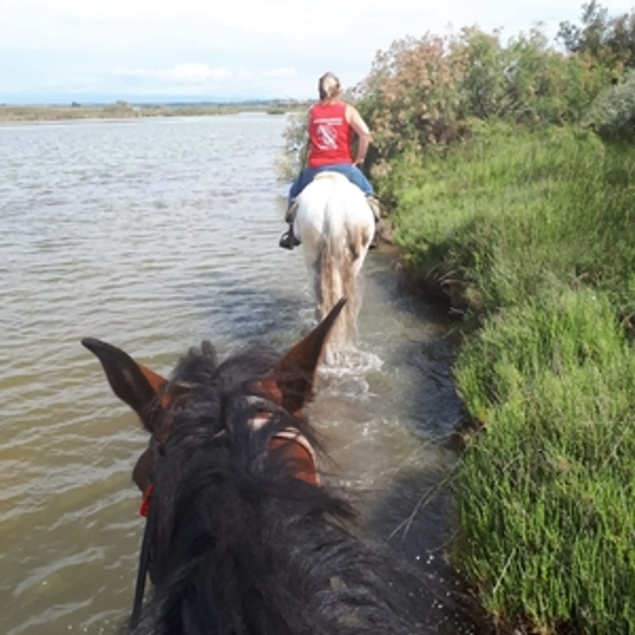 Ranch Les Gaillardels