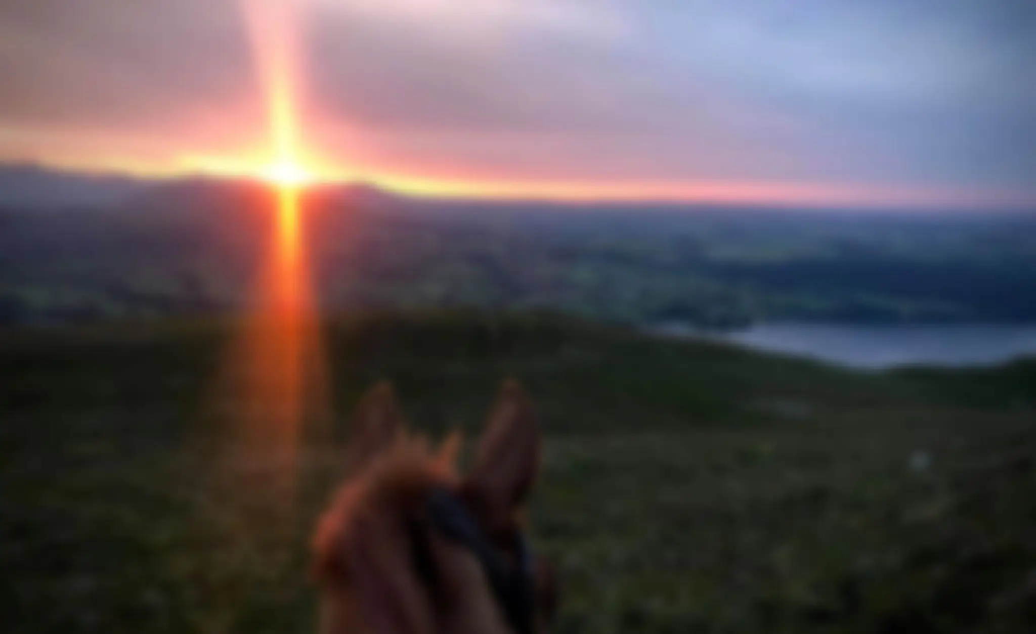 Lakeland Horse Trails