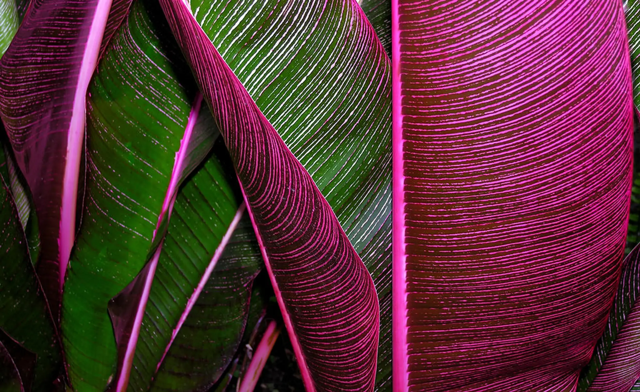 Vivi Sweetness Cours De Yoga