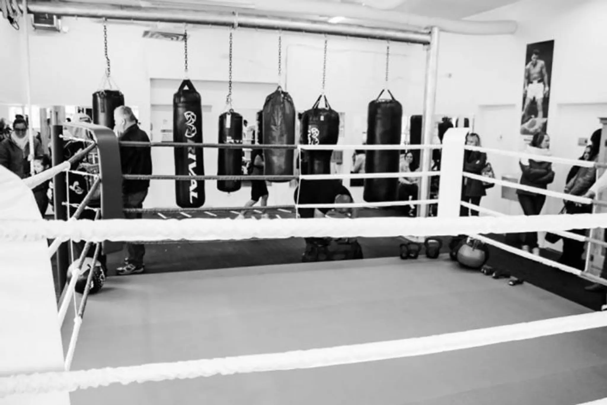 Club De Boxe Aly, Cours De Boxe Pour Dbutants Et Comptiteurs De Tous ges