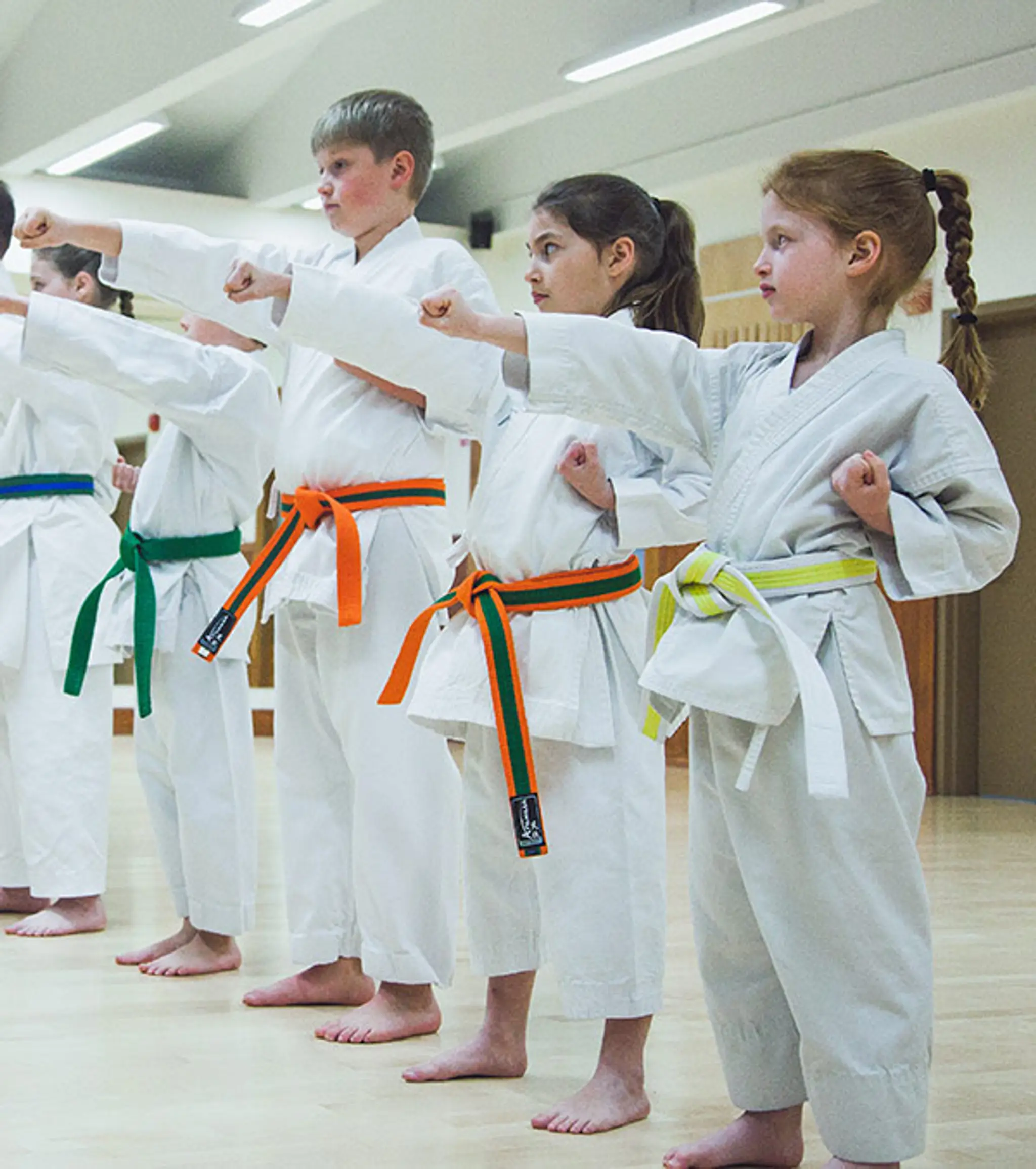 School Karate Sankudo