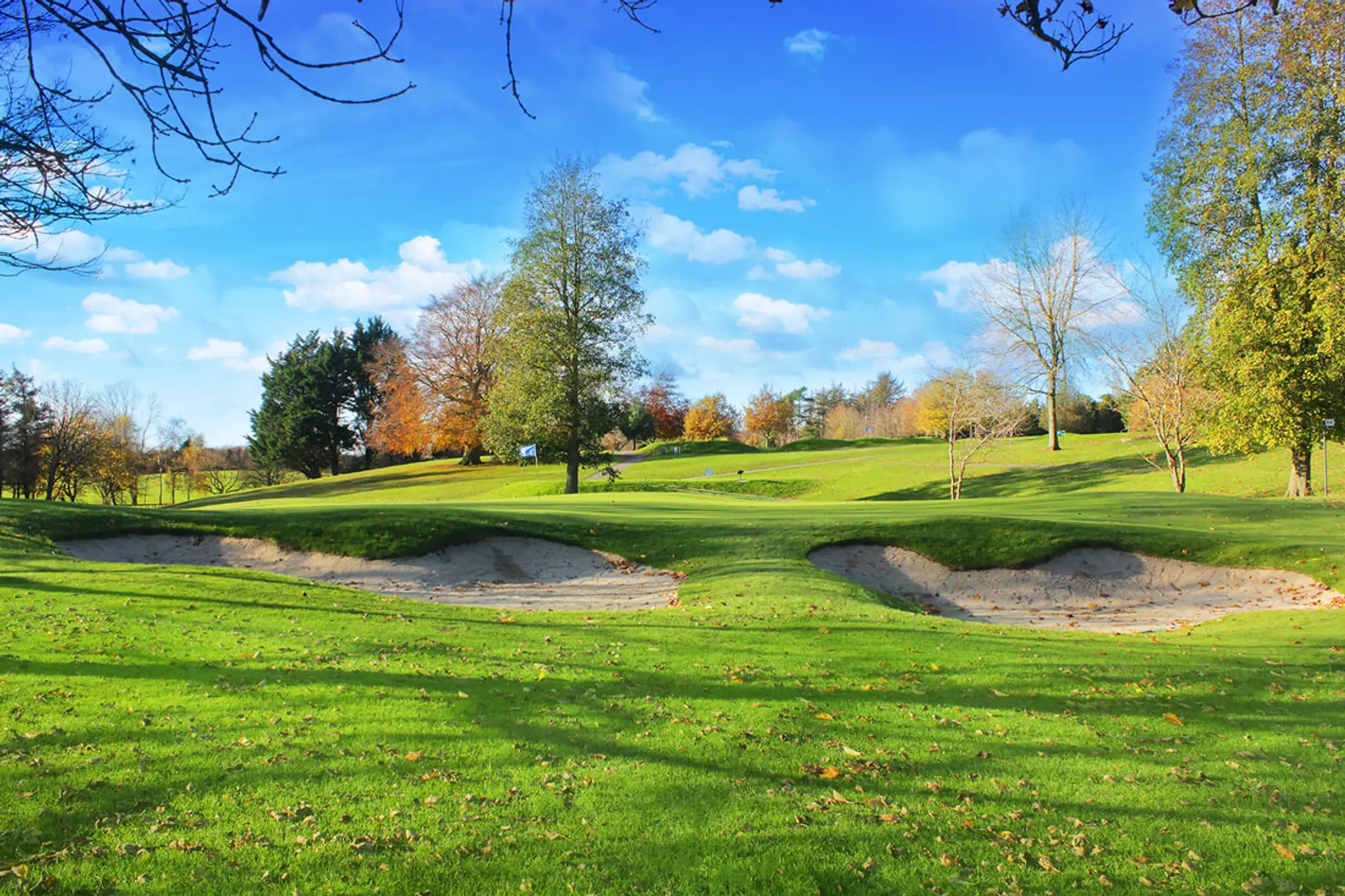 Ardee Golf Club