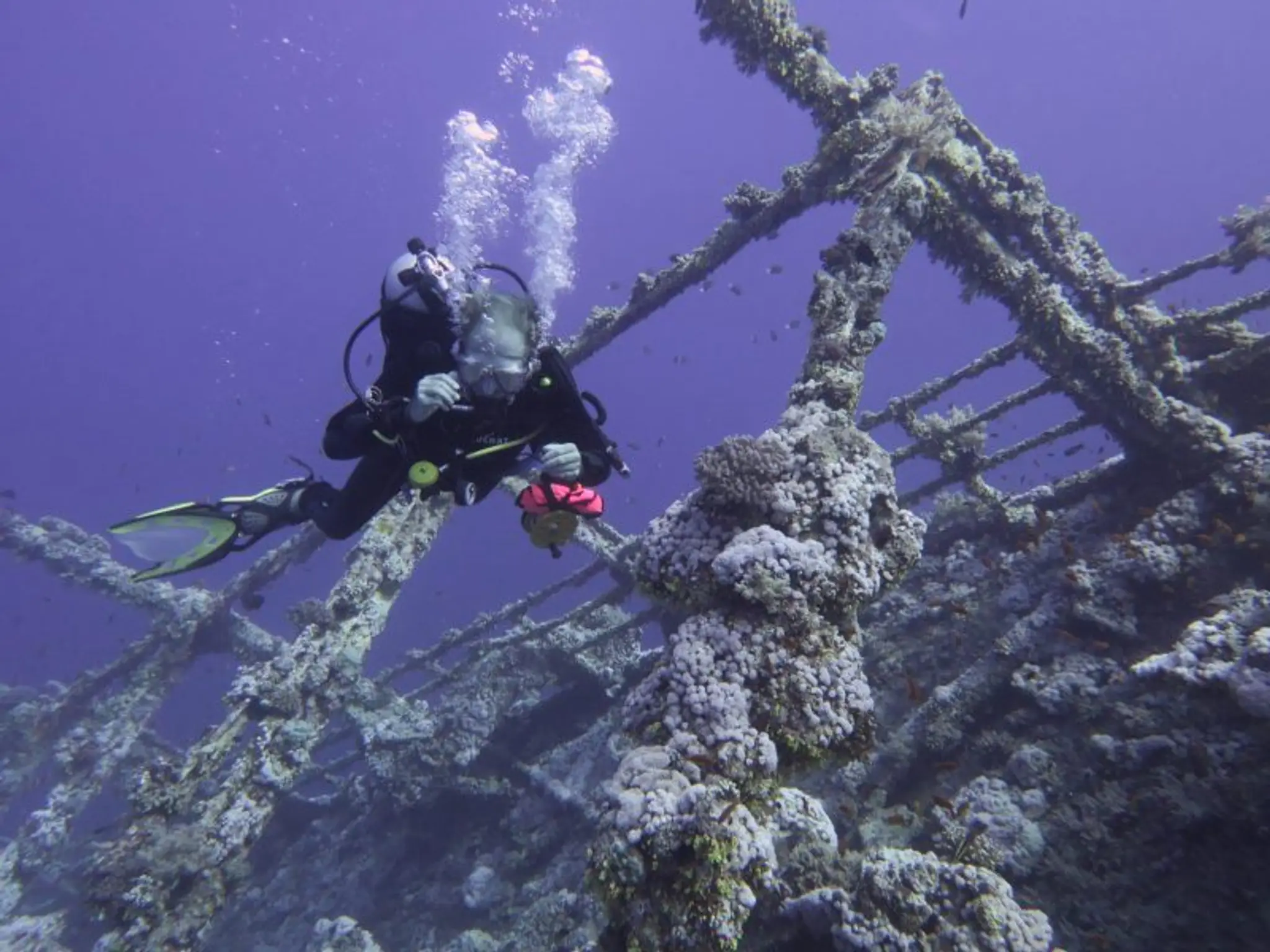 Tamworth Sub Aqua Club