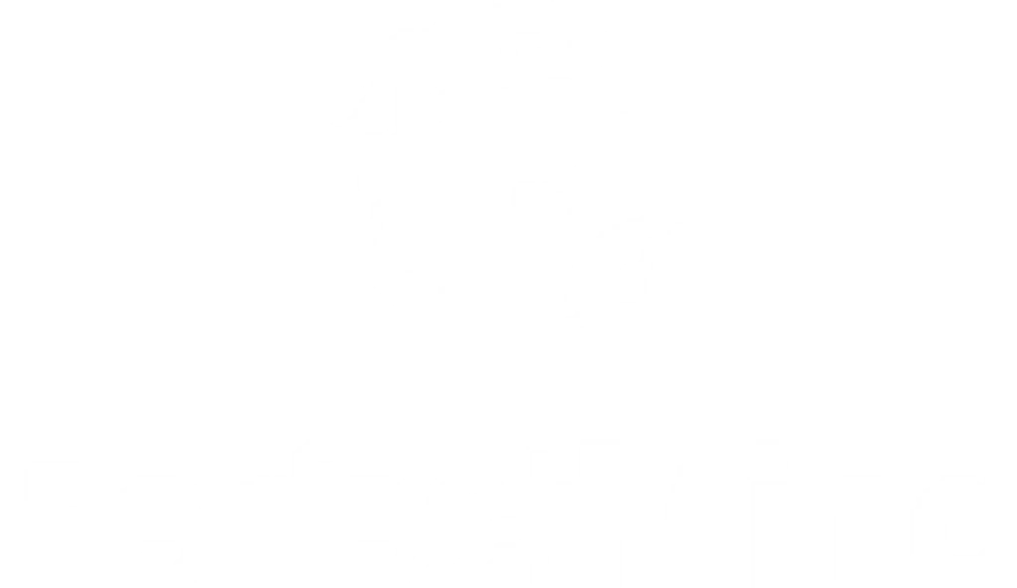 brasil wellness center