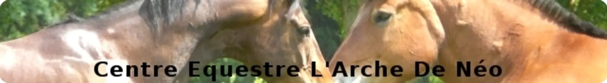 Equestrian Center Ark New