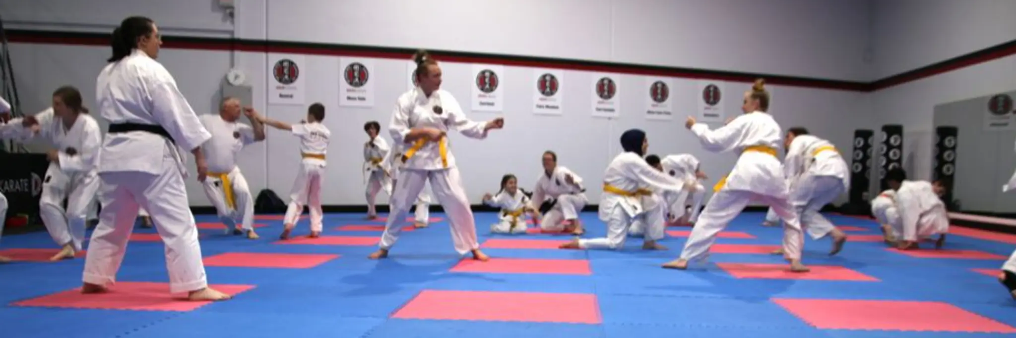 GKR Karate: Ashley Fleming Wollongong