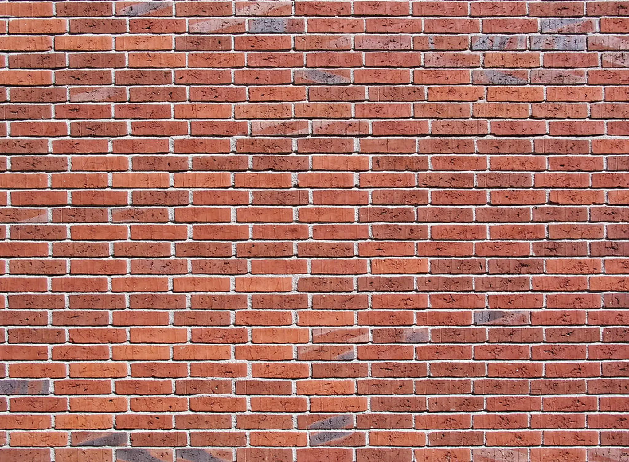 Ali Stewart Bodybuilding Prep Coach