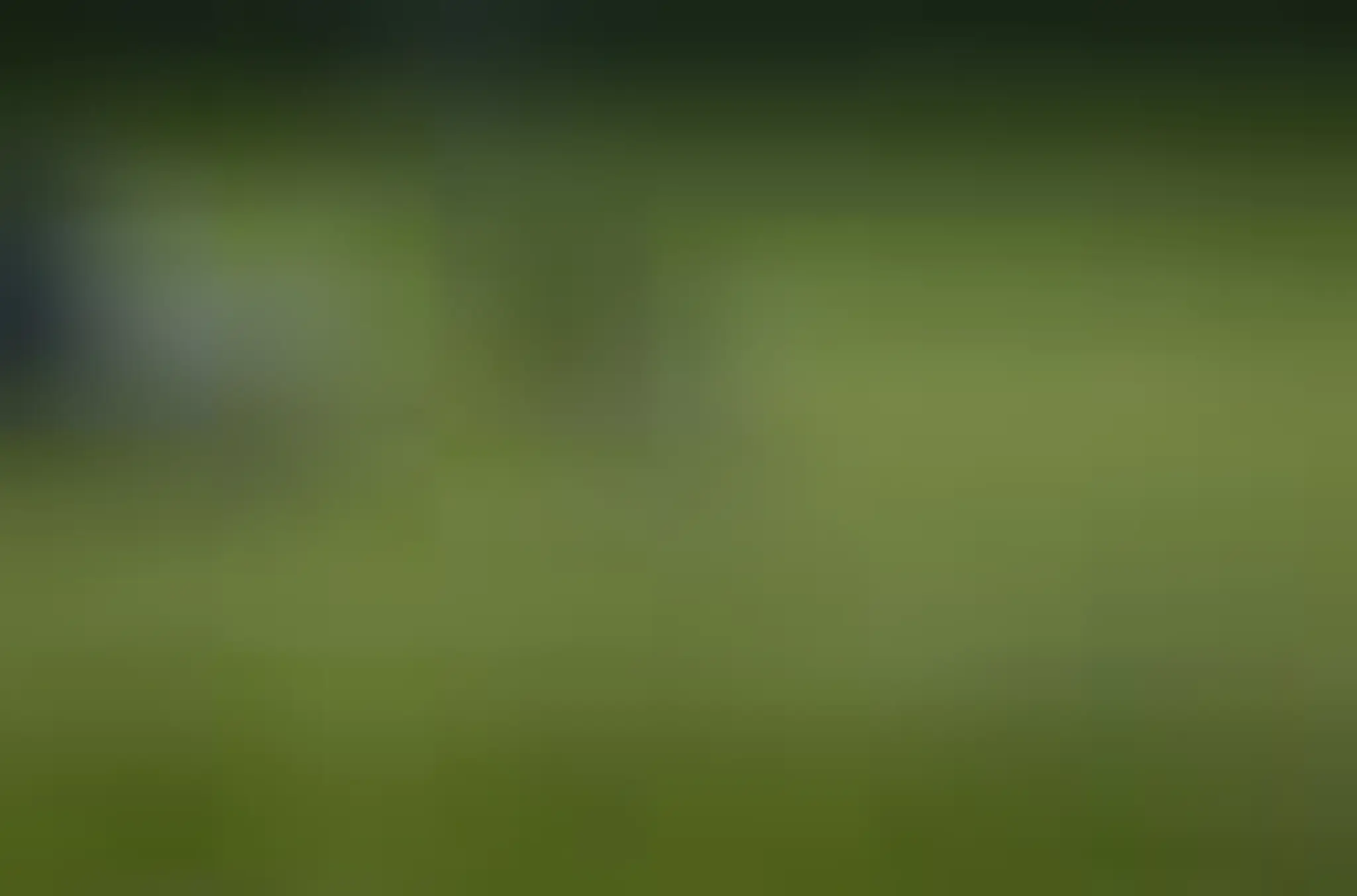 Golf Central