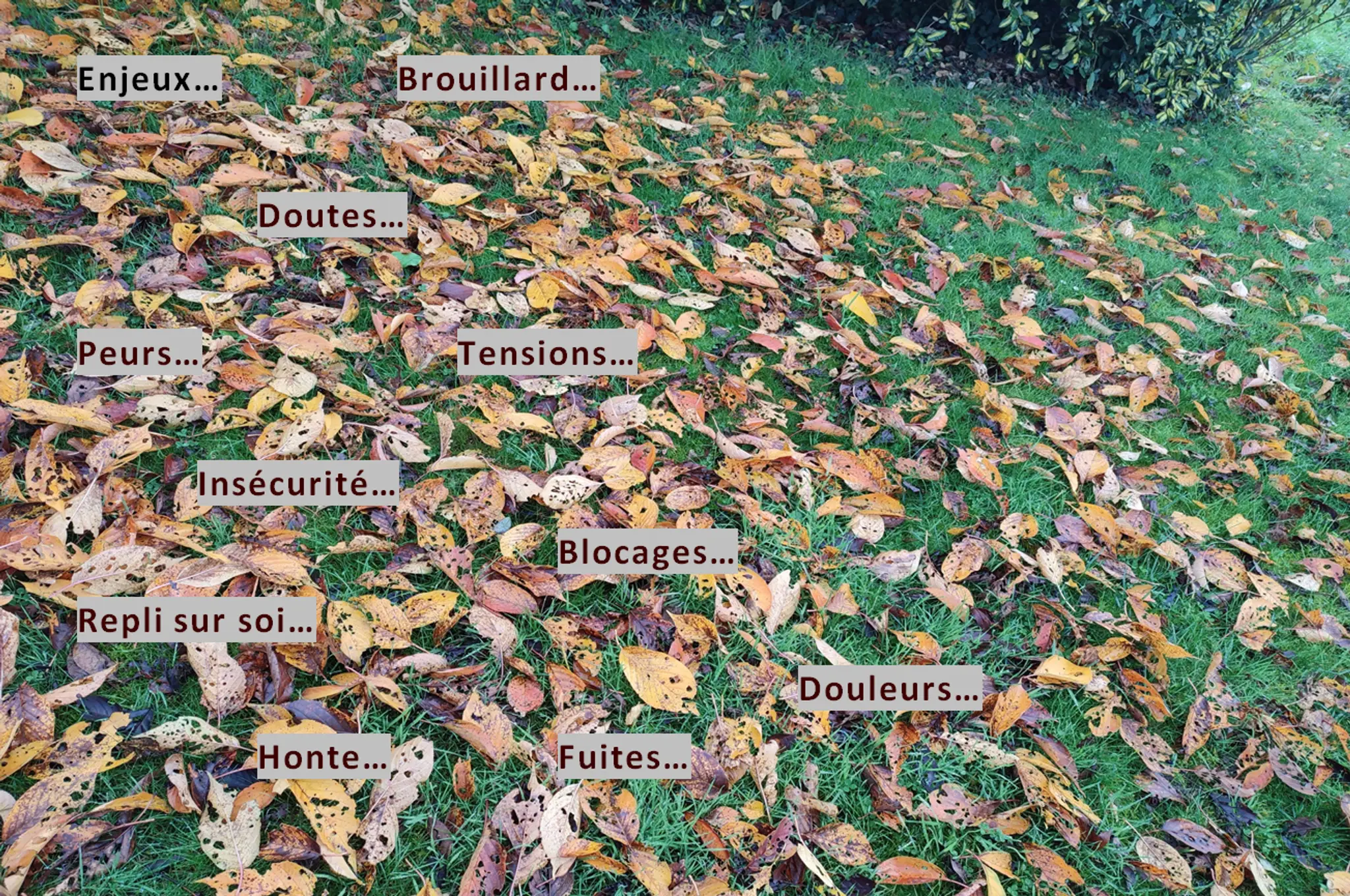 // ACCOMPLIR SA VIE // Laurence BIZOUARD, Coach de vie et Somato-Psychopédagogue