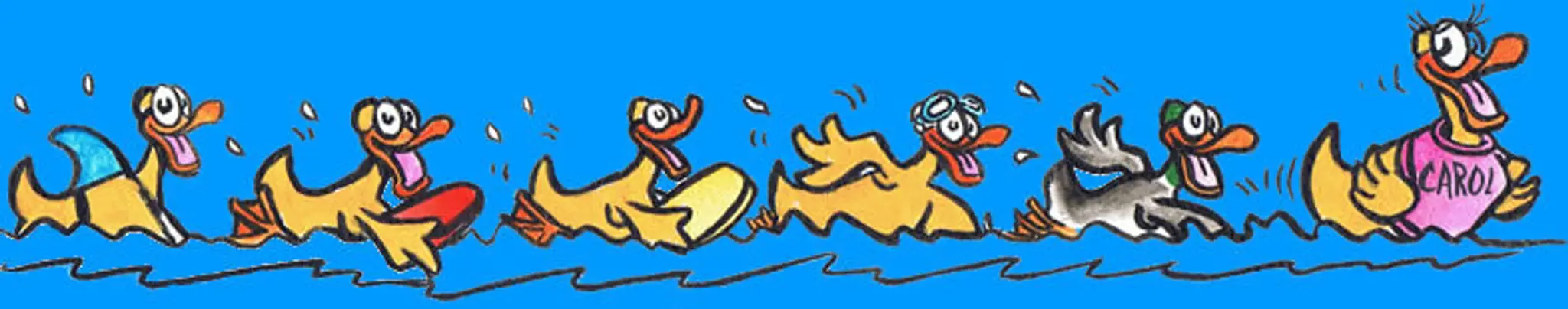 Gloucester Little Ducklings