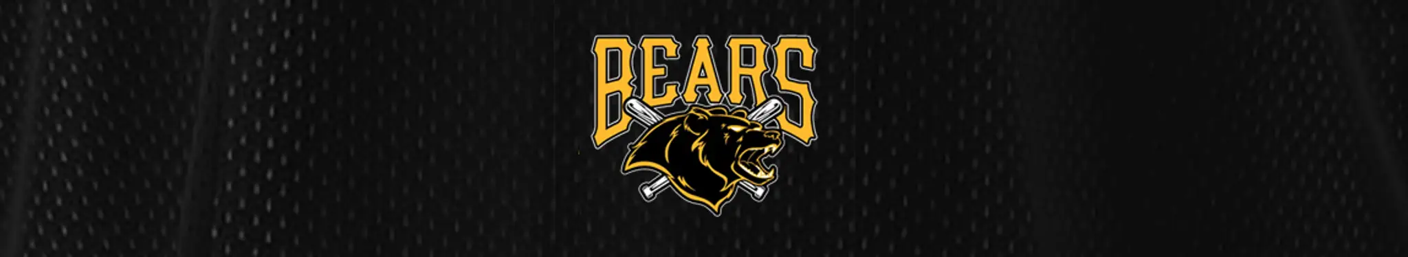 Waitakere Bears Baseball Club