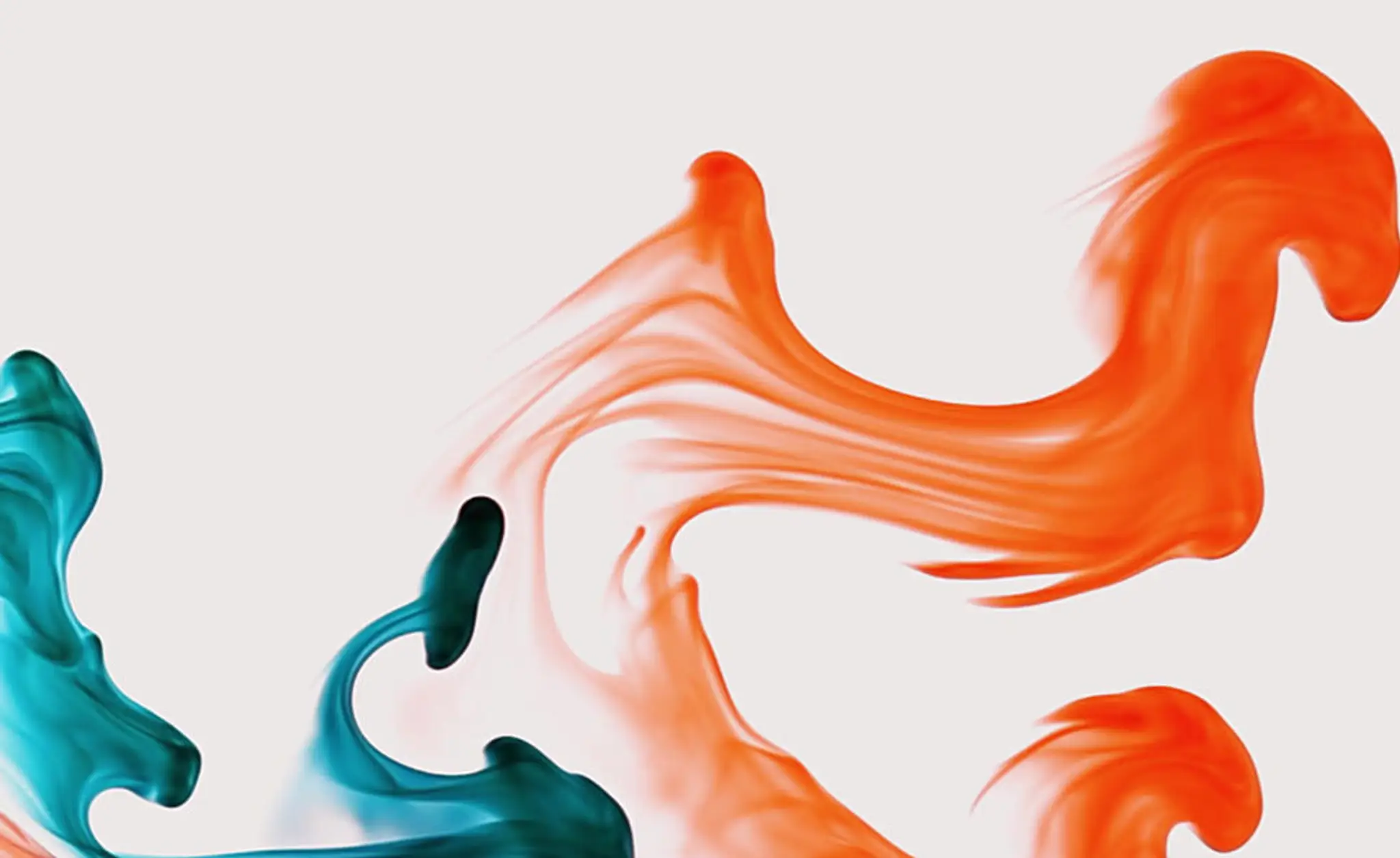 Association Flama Flamenca