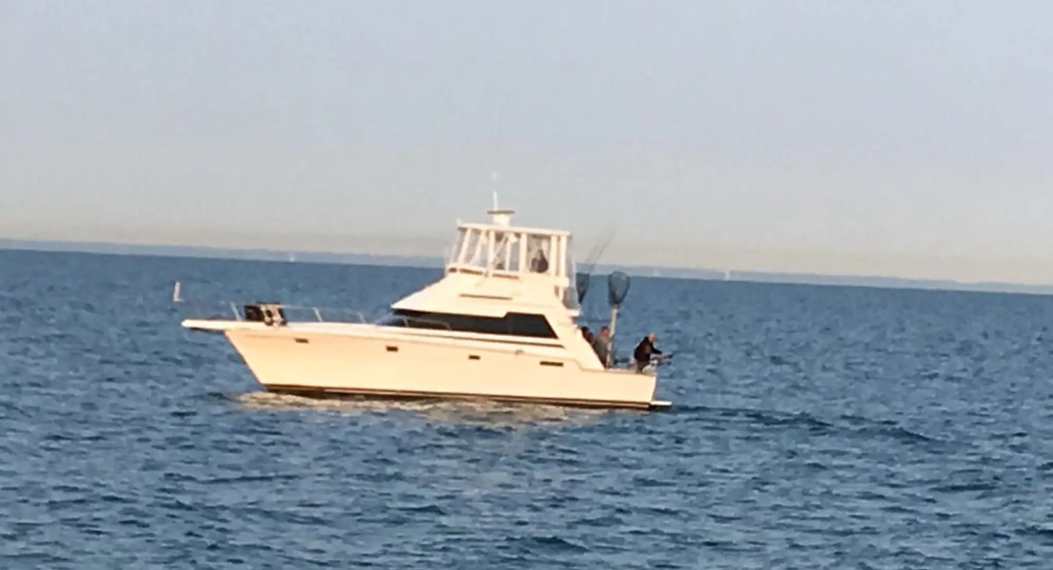 Reel addiction sport fishing