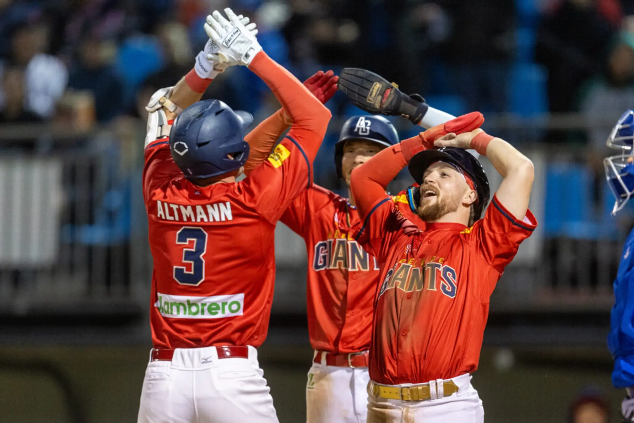 Adelaide Giants