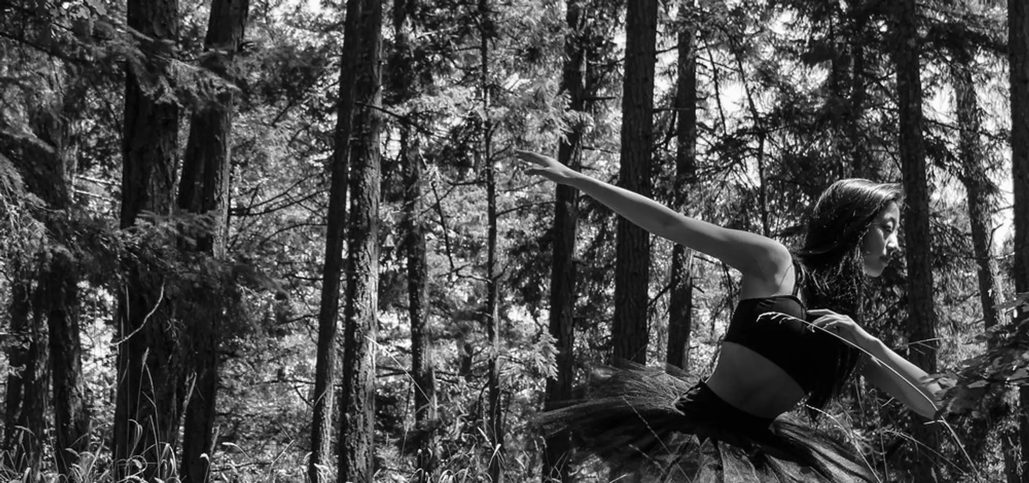 Westcoast Academy of Performing Arts