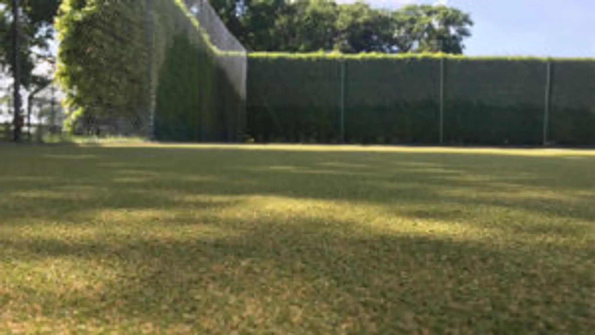 Artificial Turf Care