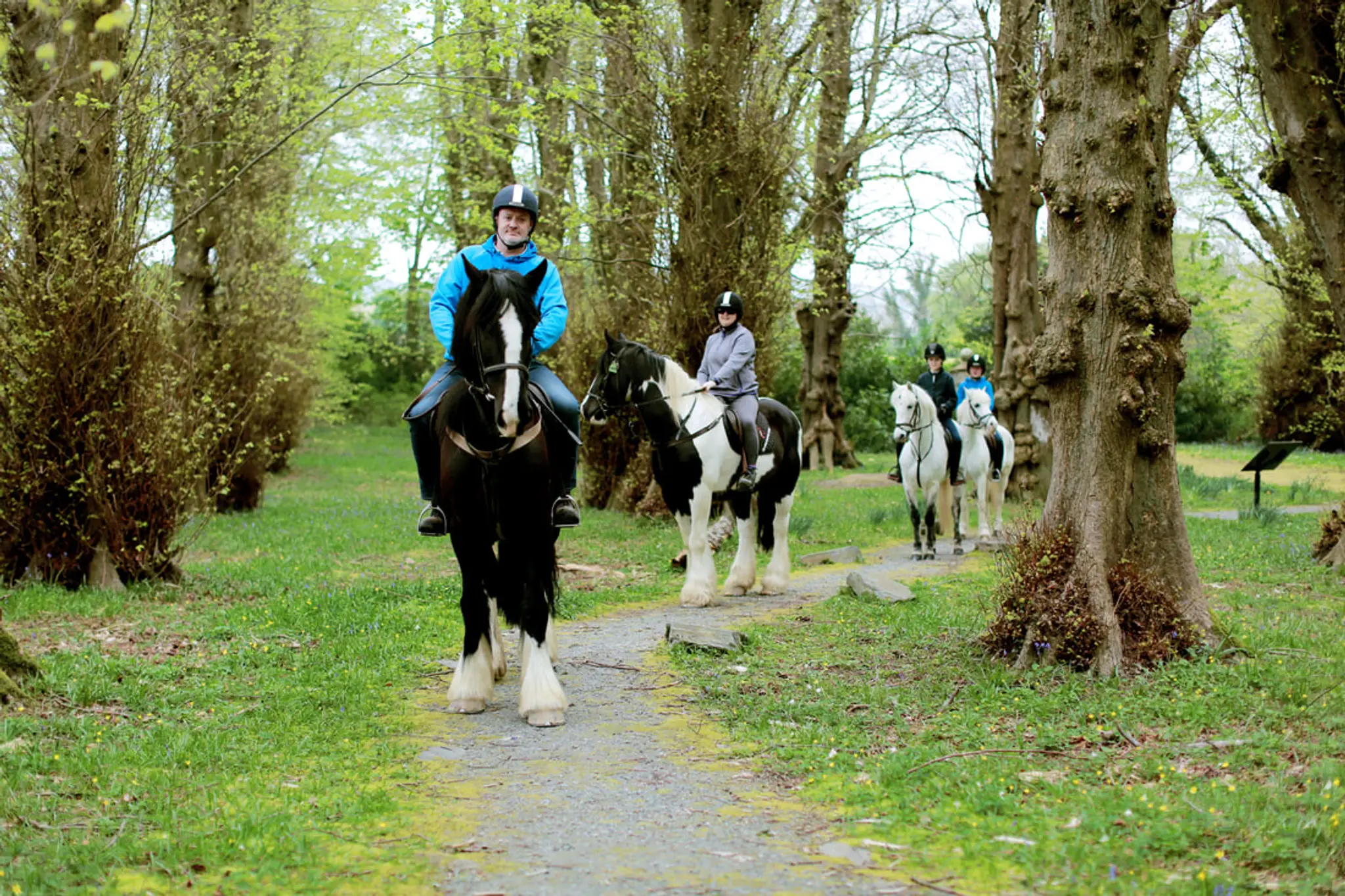 City Of Derry Equestrian Centre
