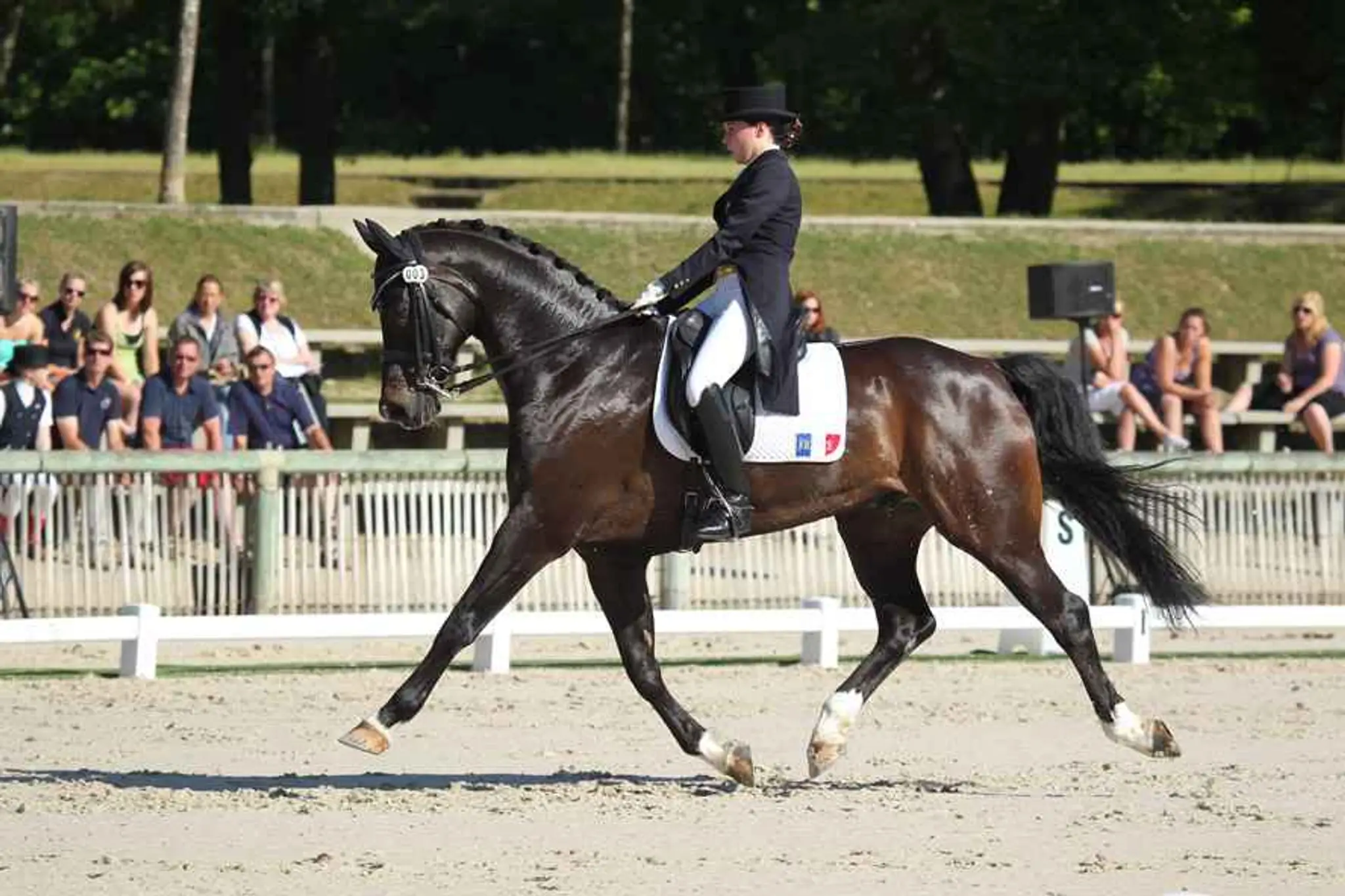 Les Ecuries Du Leon Near De Metz