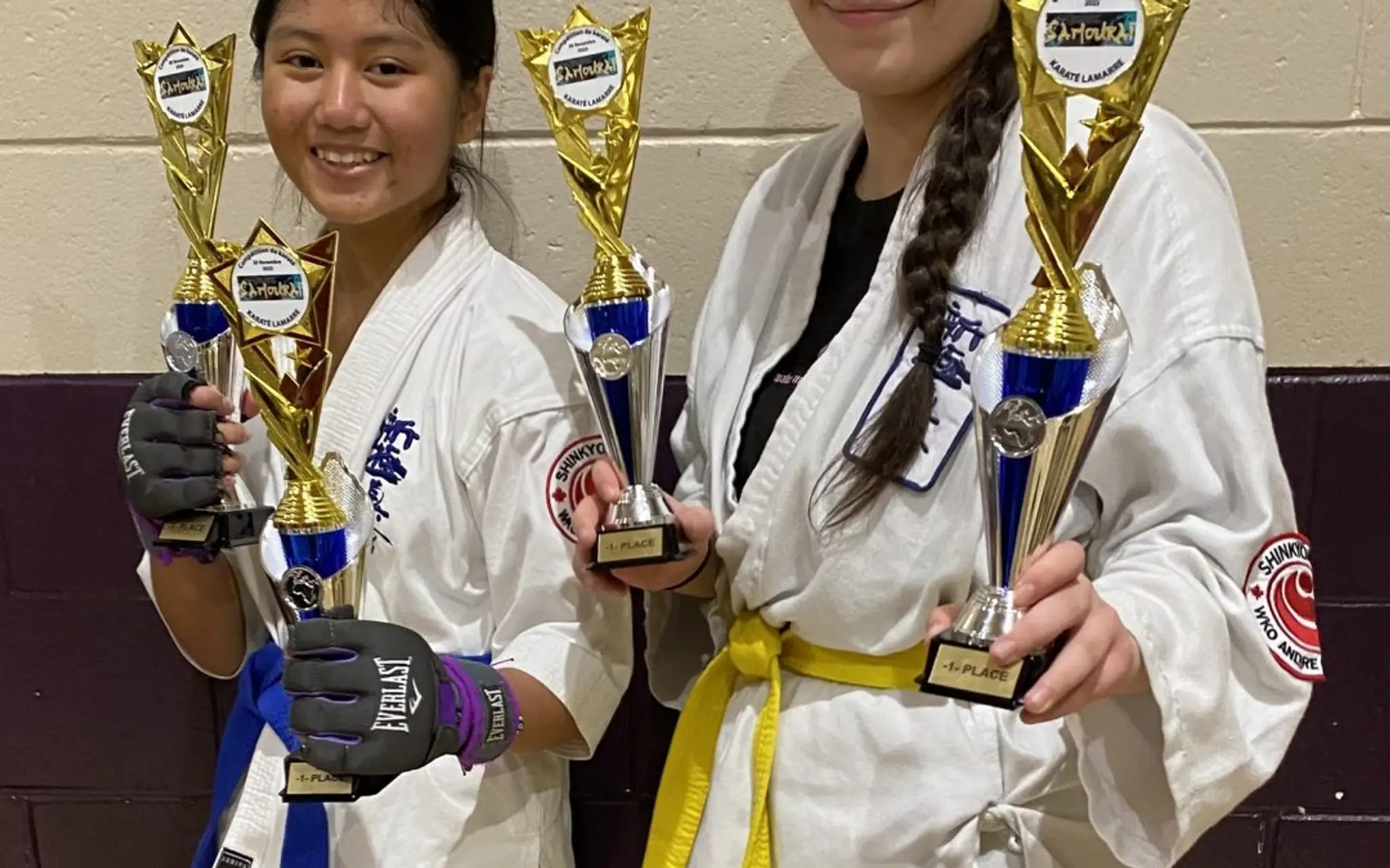 Karate Auto-Defense A Gilbert