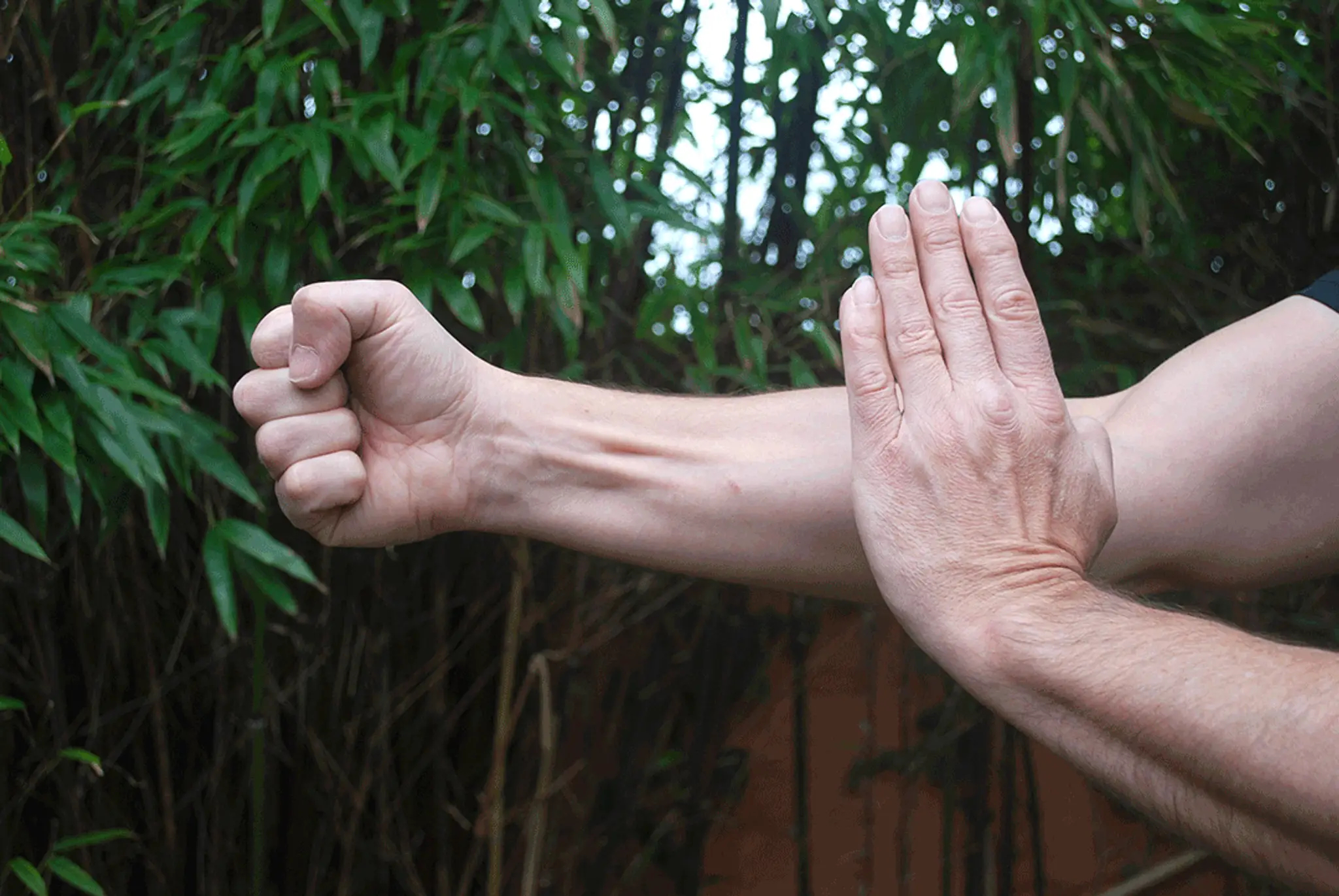 Tiger Crane Kung Fu - Hackney