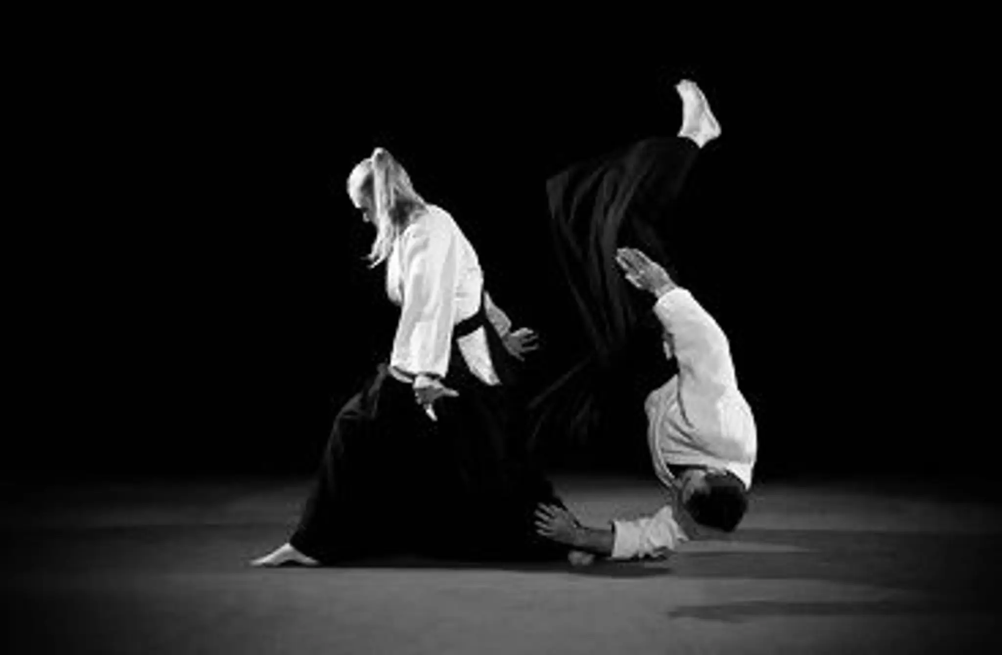Swansea District Aikido