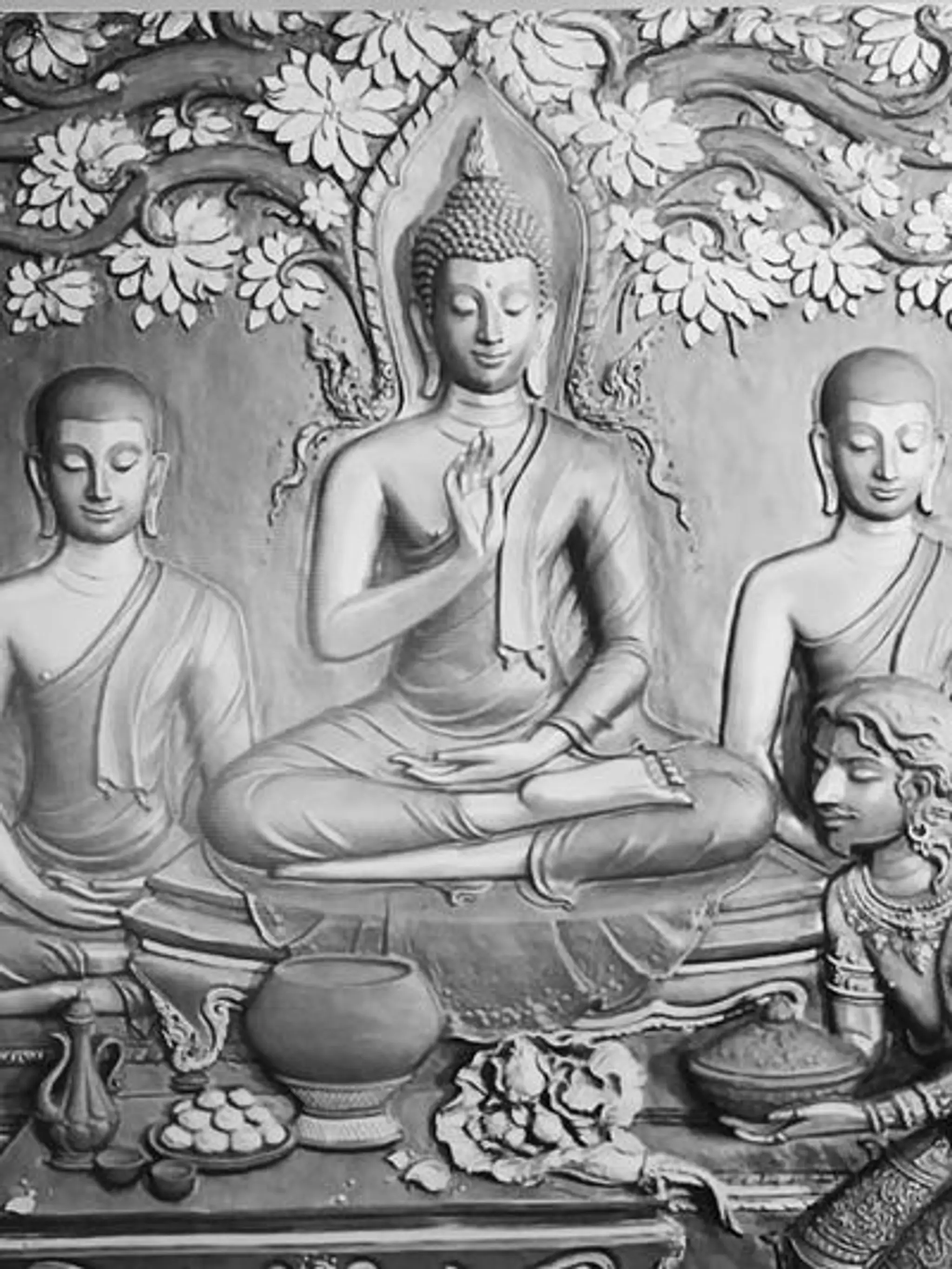 Brawny Sports Academy