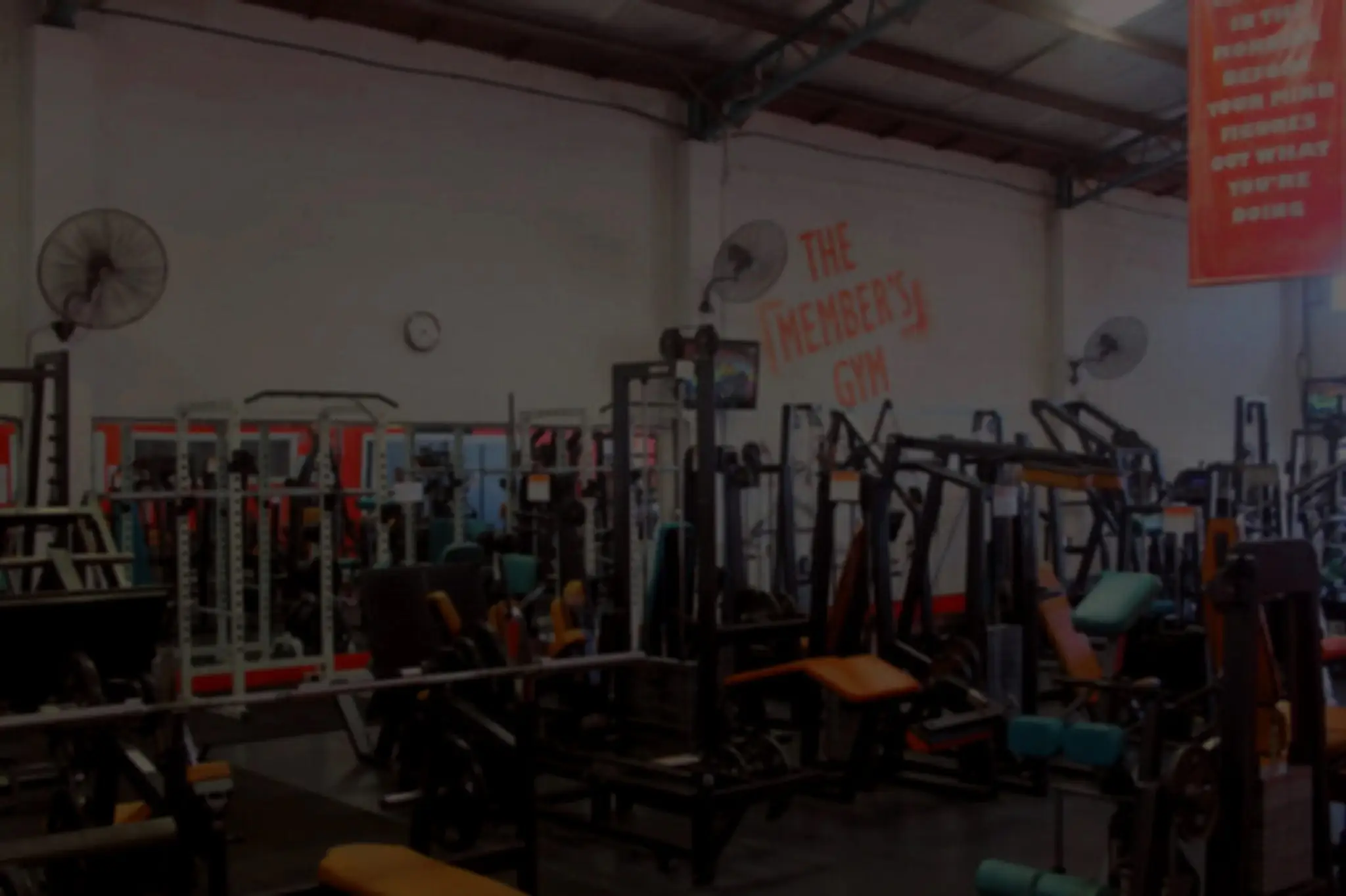 Quany's Gym
