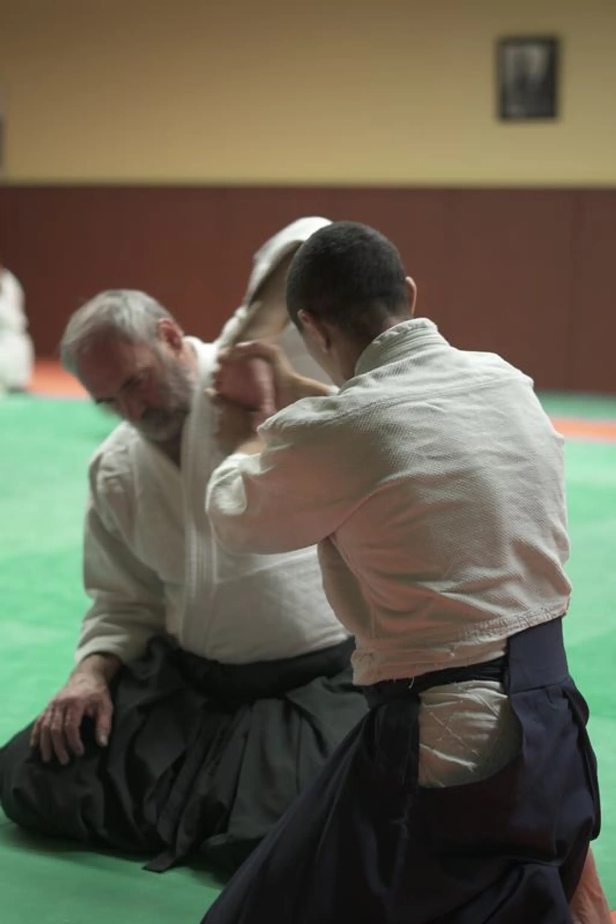 Digne Aikido Club