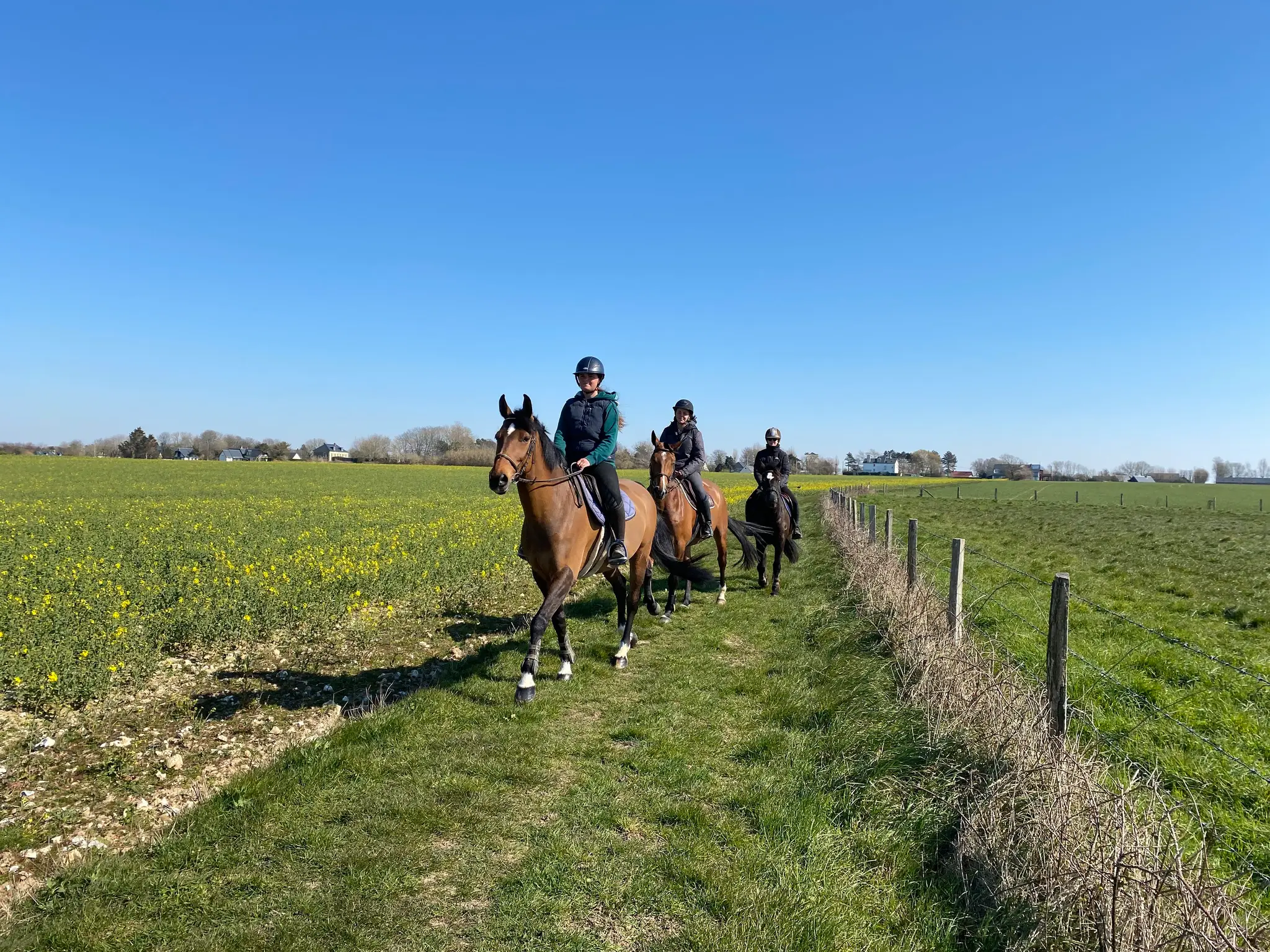 Area Equestrian Étretat