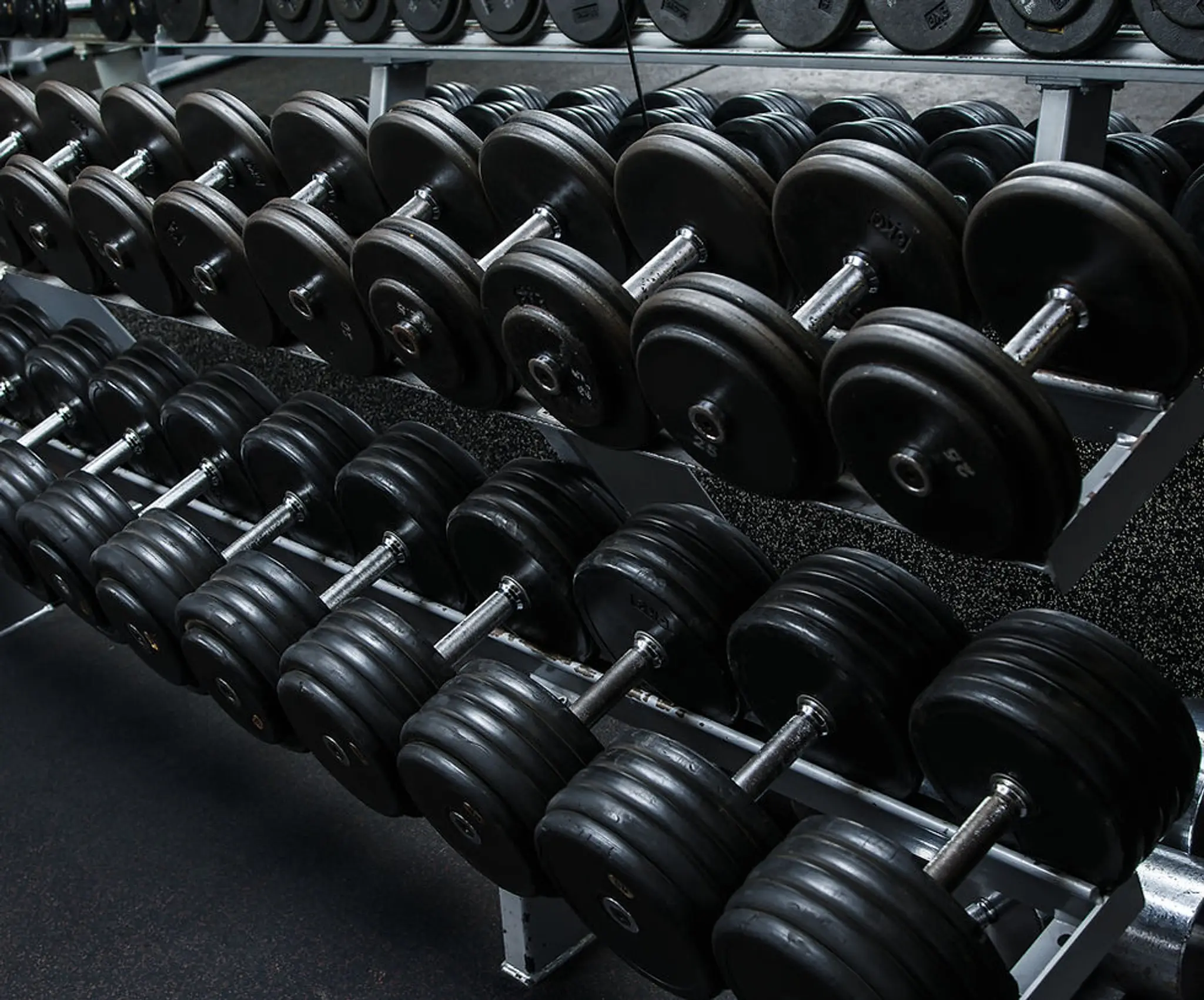 Fresh Image Training