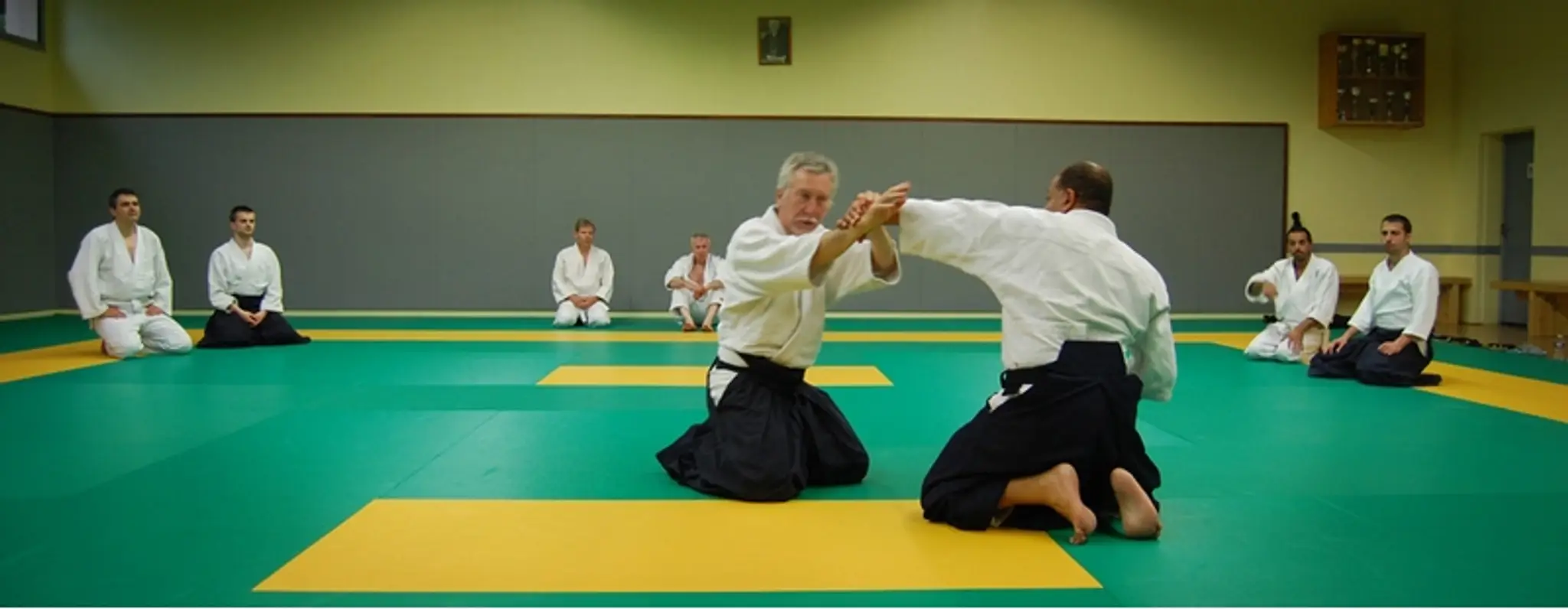 Aikido Qi-gong saint-prix AESP