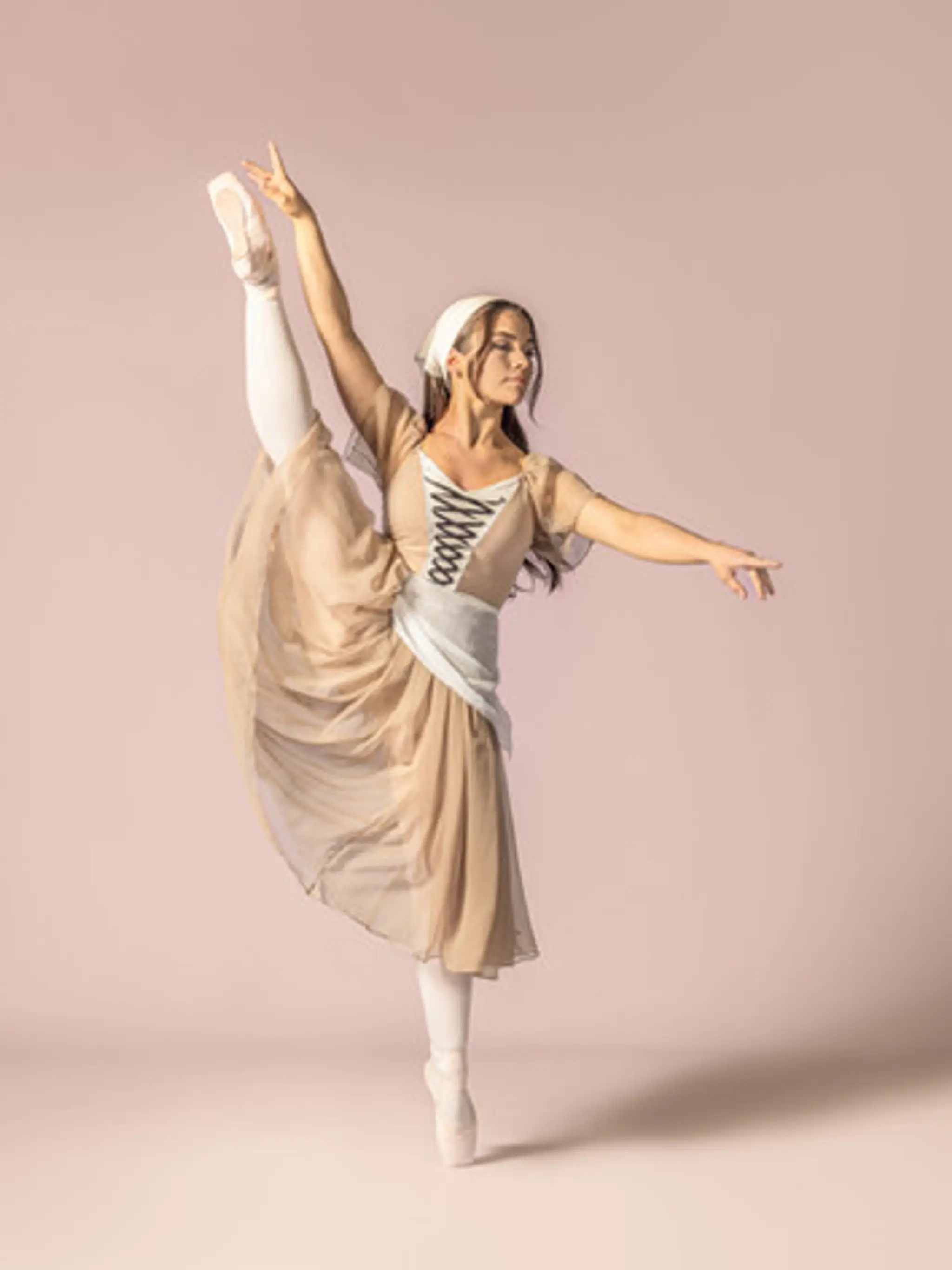 The Dance Establishment