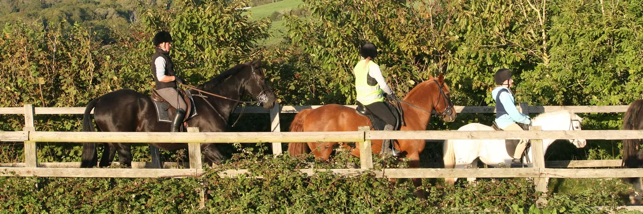 The Ranch House Stables