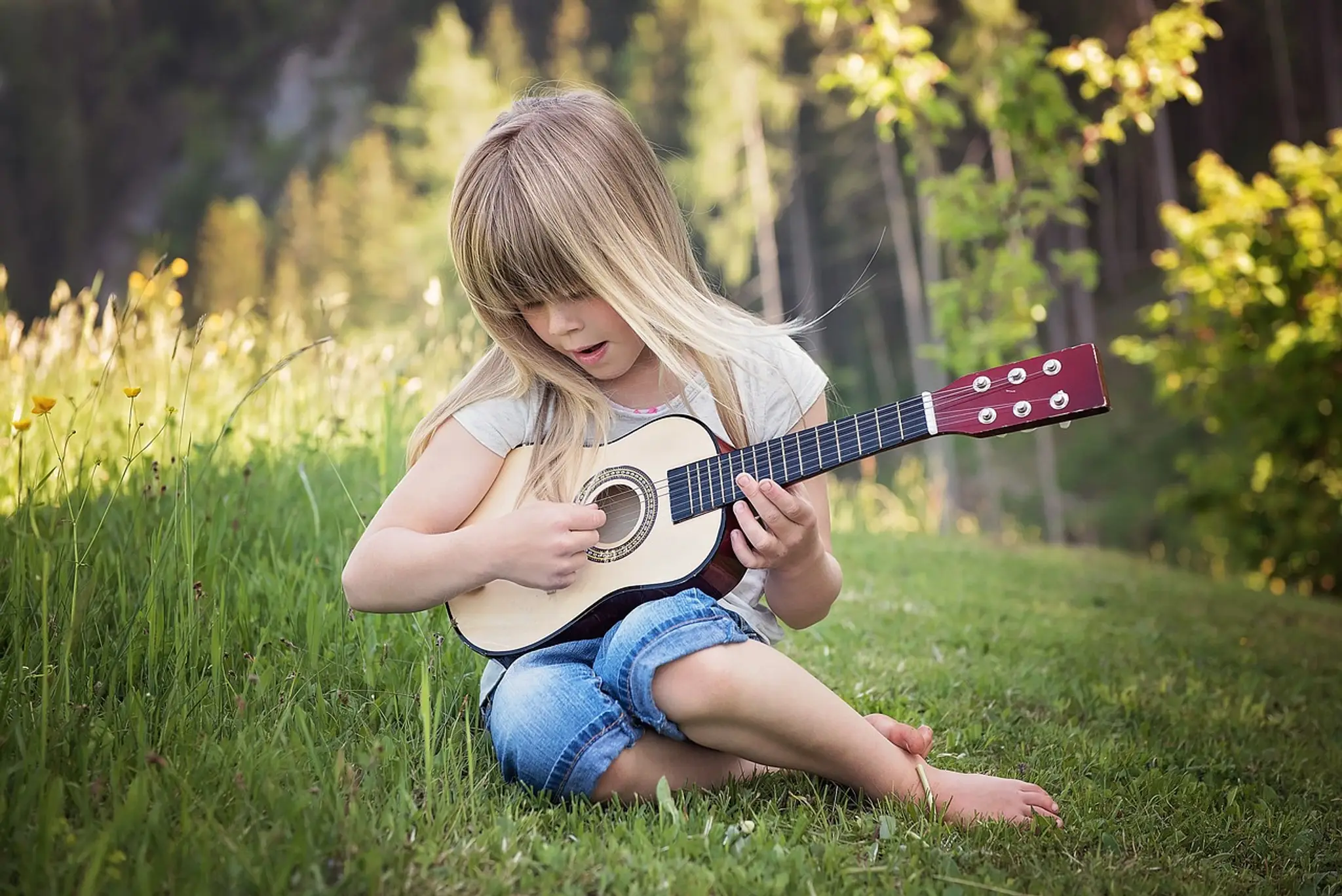 Musical Minds School of Music