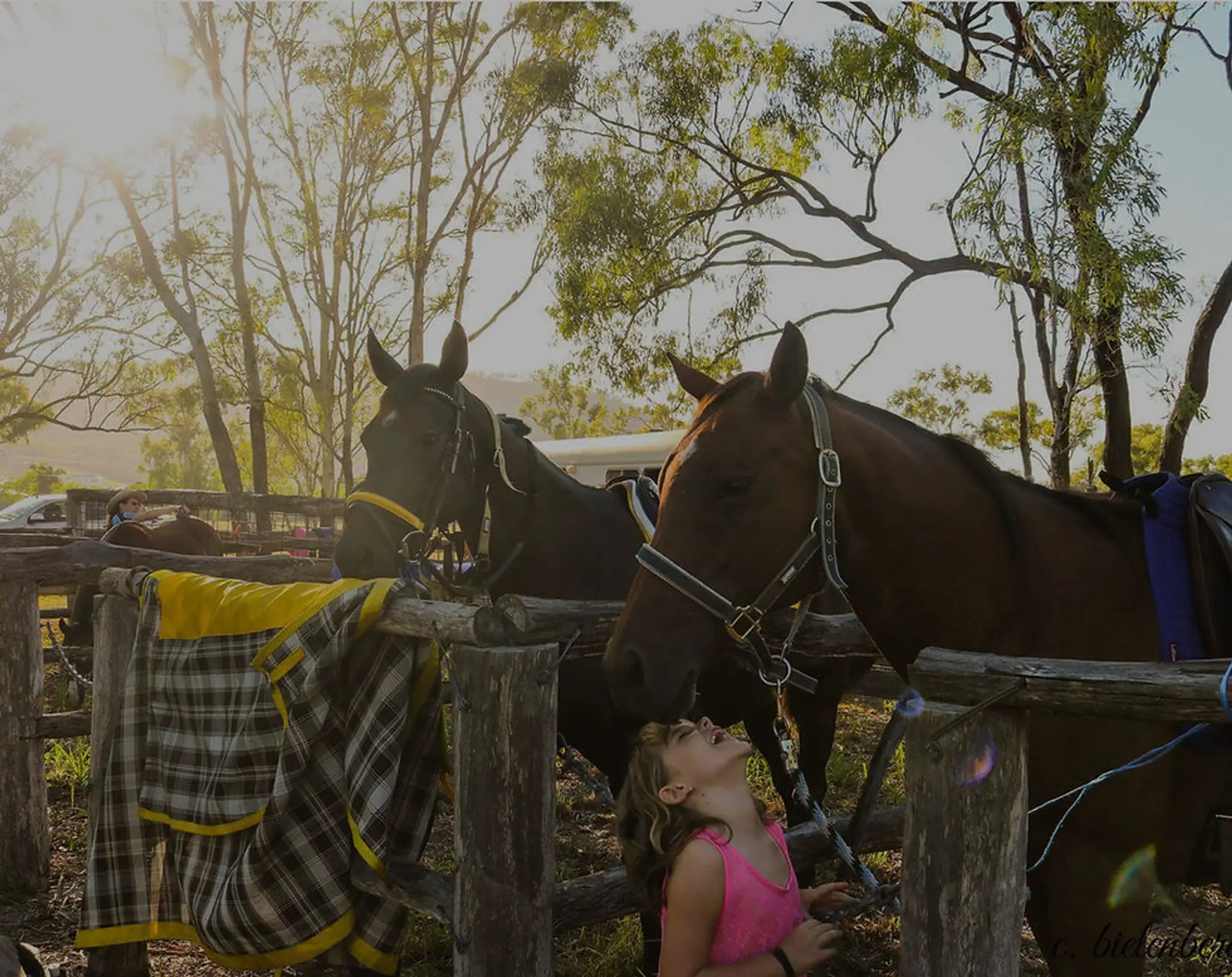 Granlea Horse Riding